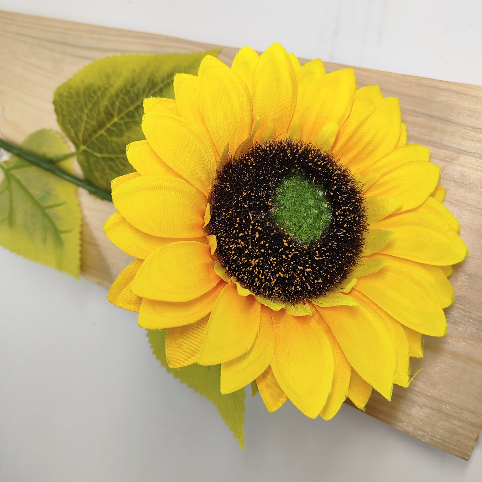 Słonecznik pojedynczy