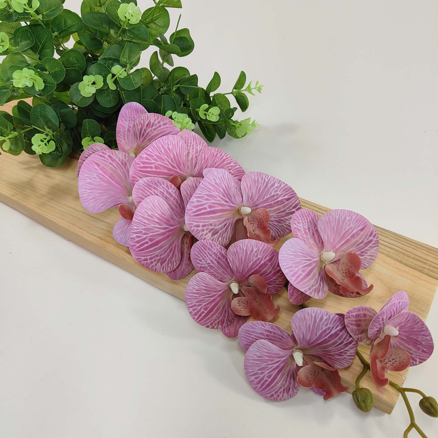 Storczyk pojedynczy gumowany brudny róż