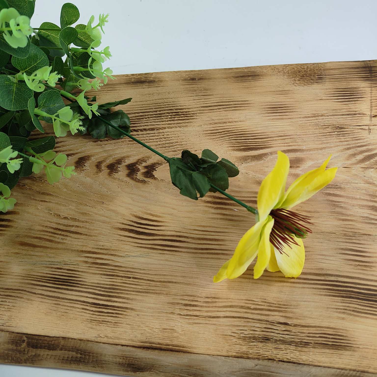 Kwiat pojedynczy dalia żółta