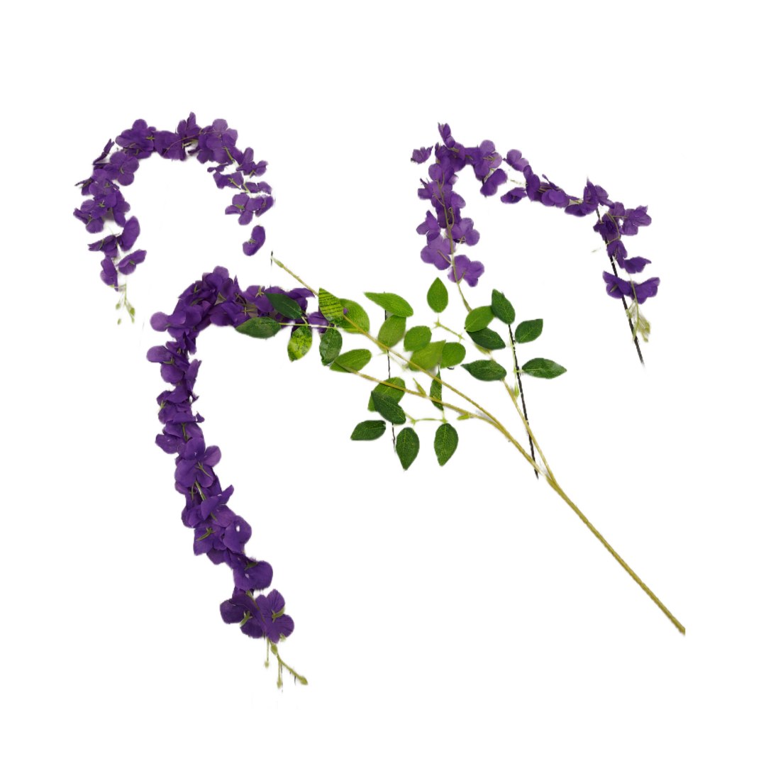 Wisteria ciemny fiolet