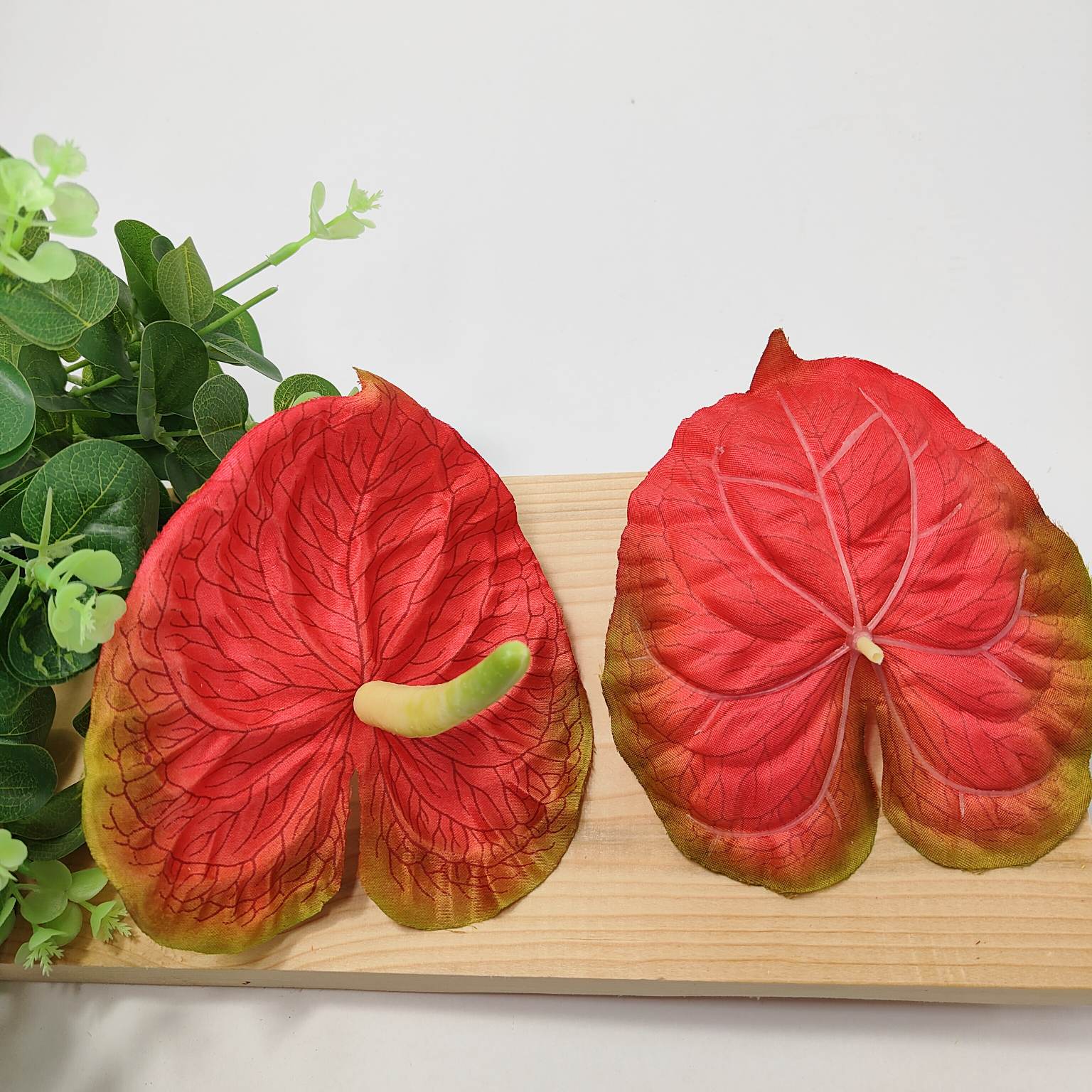 Anturium wyrobowe czerwone 24 szt 1675-4