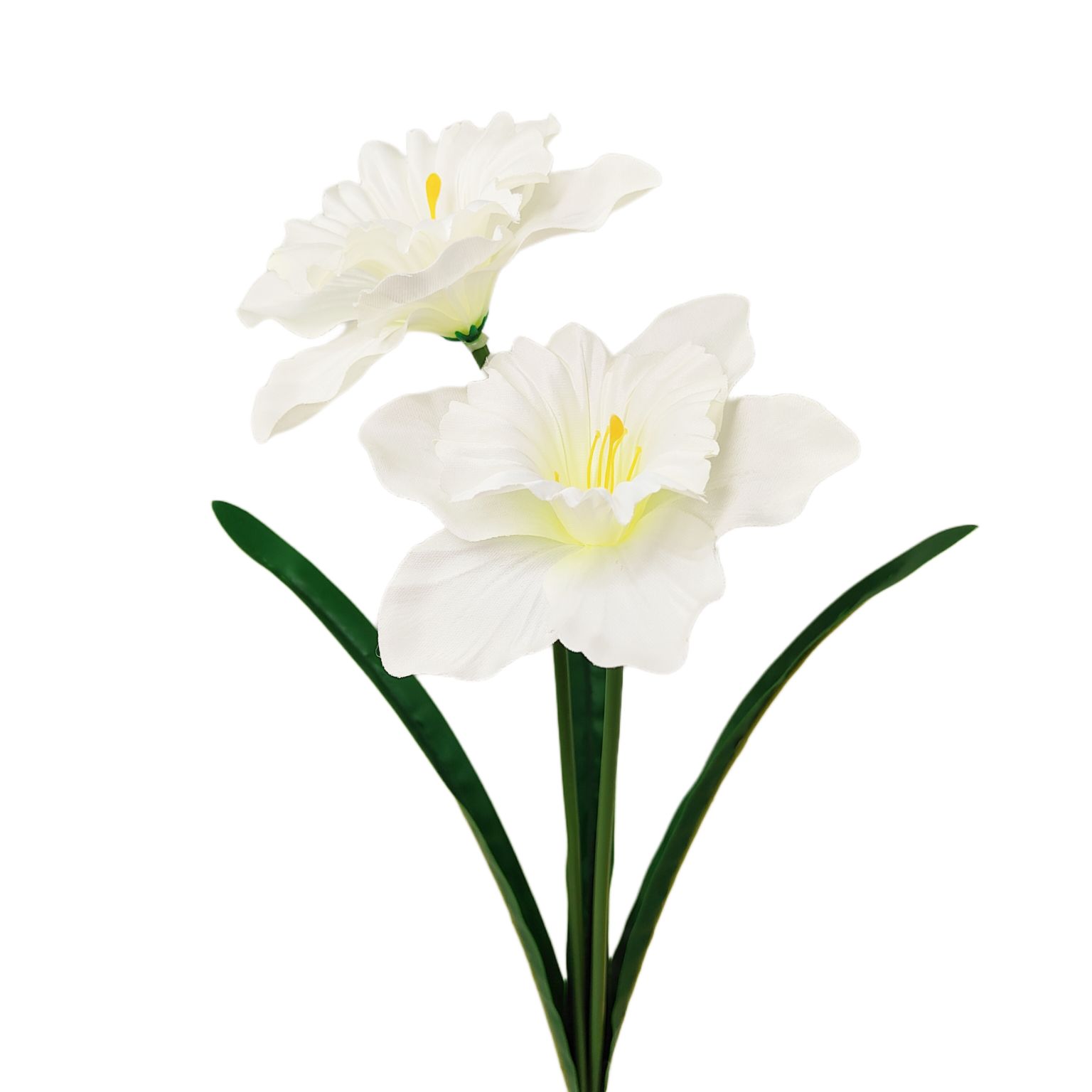 Żonkil kremowy pojedynczy x2 łodyga gumowana