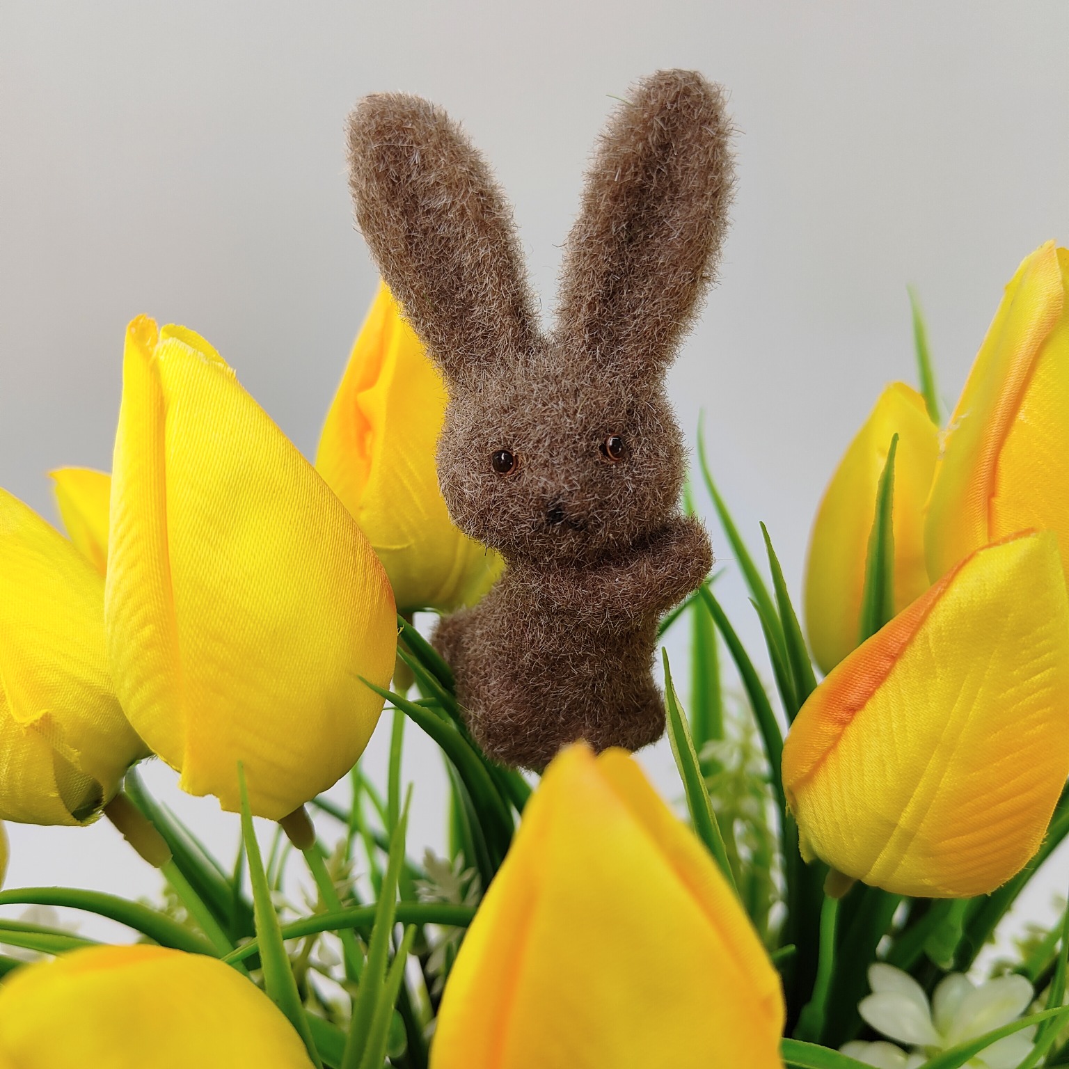 Zajączek pik brązowy