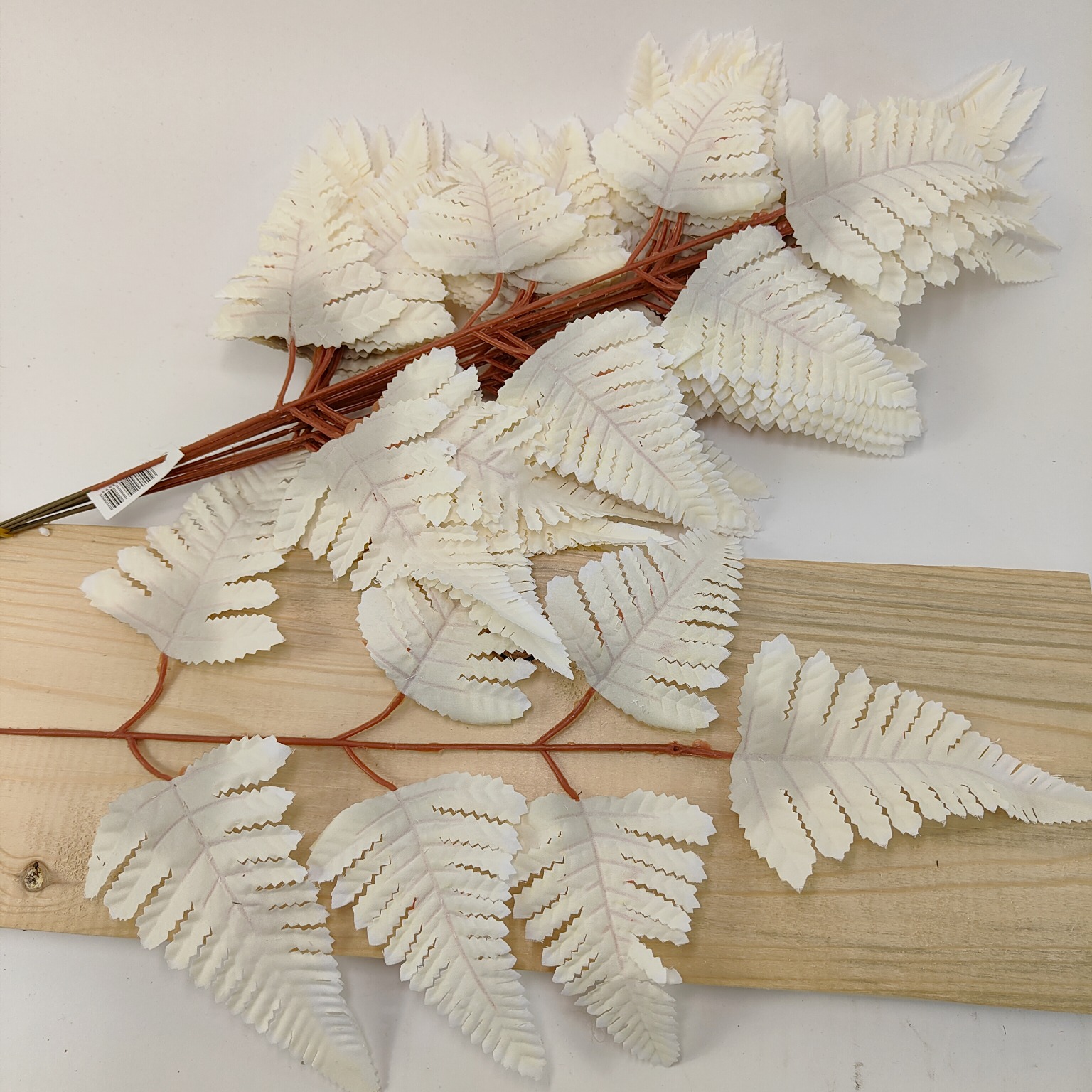 Liść paproci kremowy 12 szt