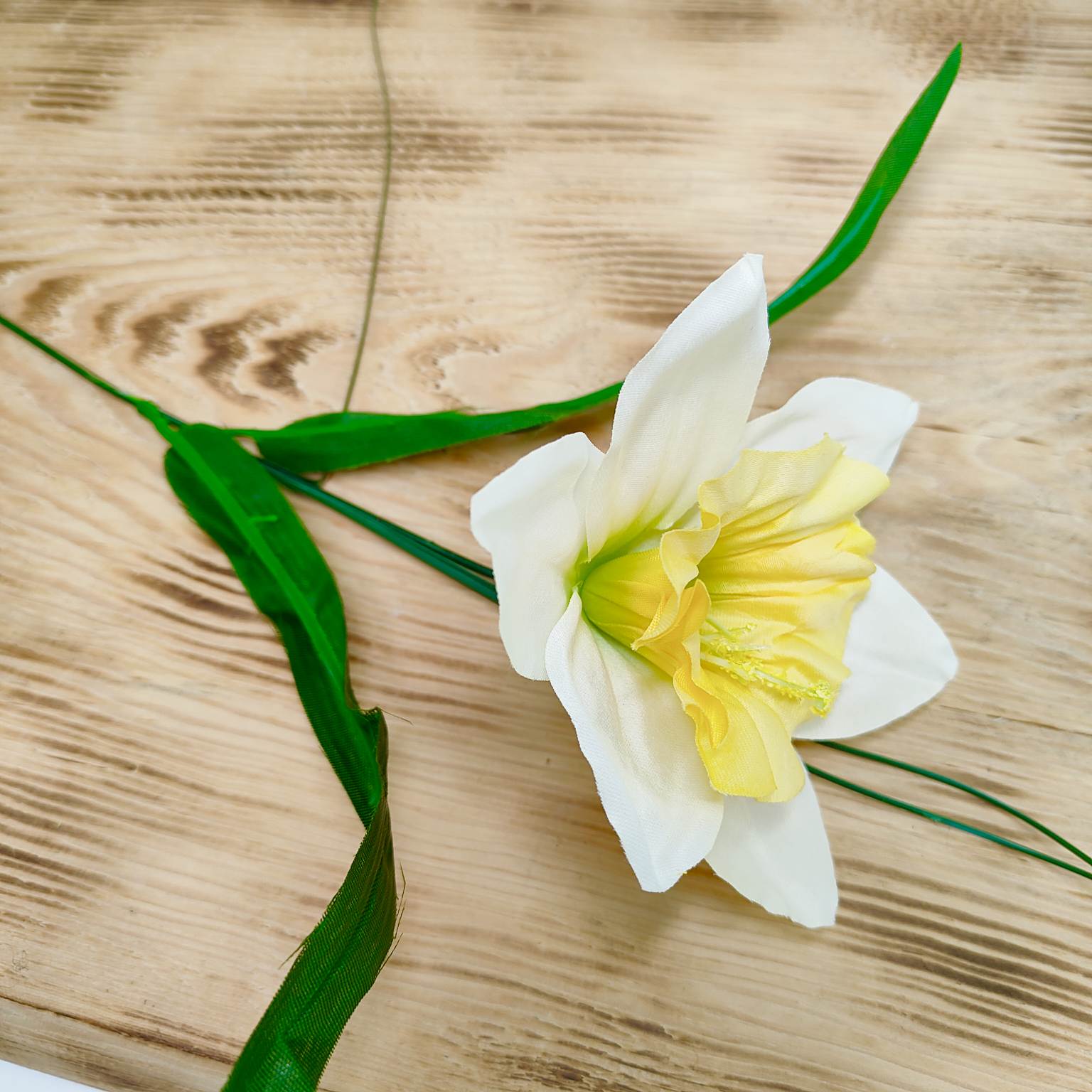 Żonkil pojedynczy kremowo-żółty