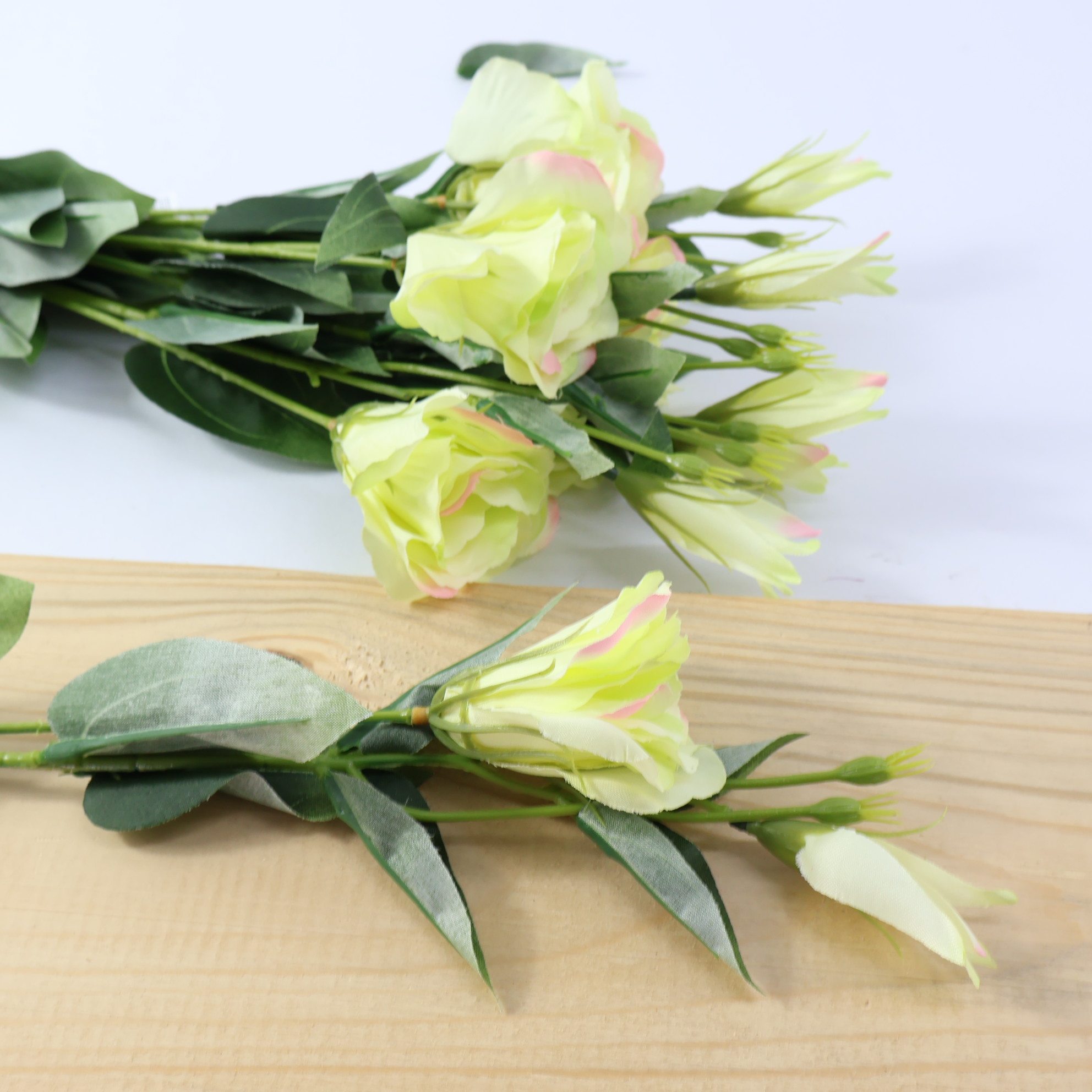 Eustoma pojedyncza zielono różowa 6 szt