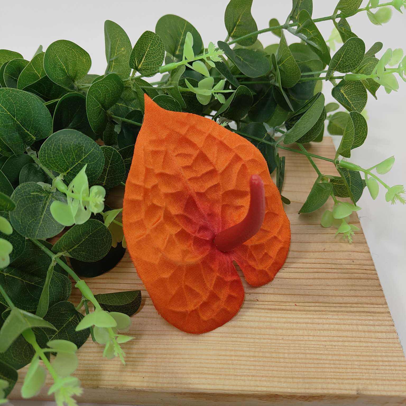 Anturium wyrobowe pomarańczowe 24 szt