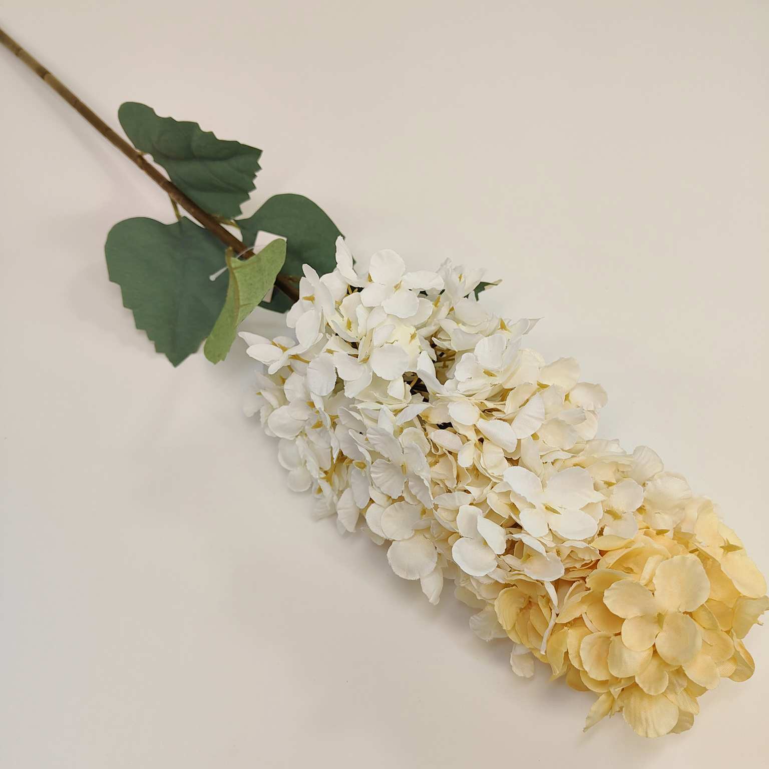 Ostróżka pojedyncza kremowo żółta