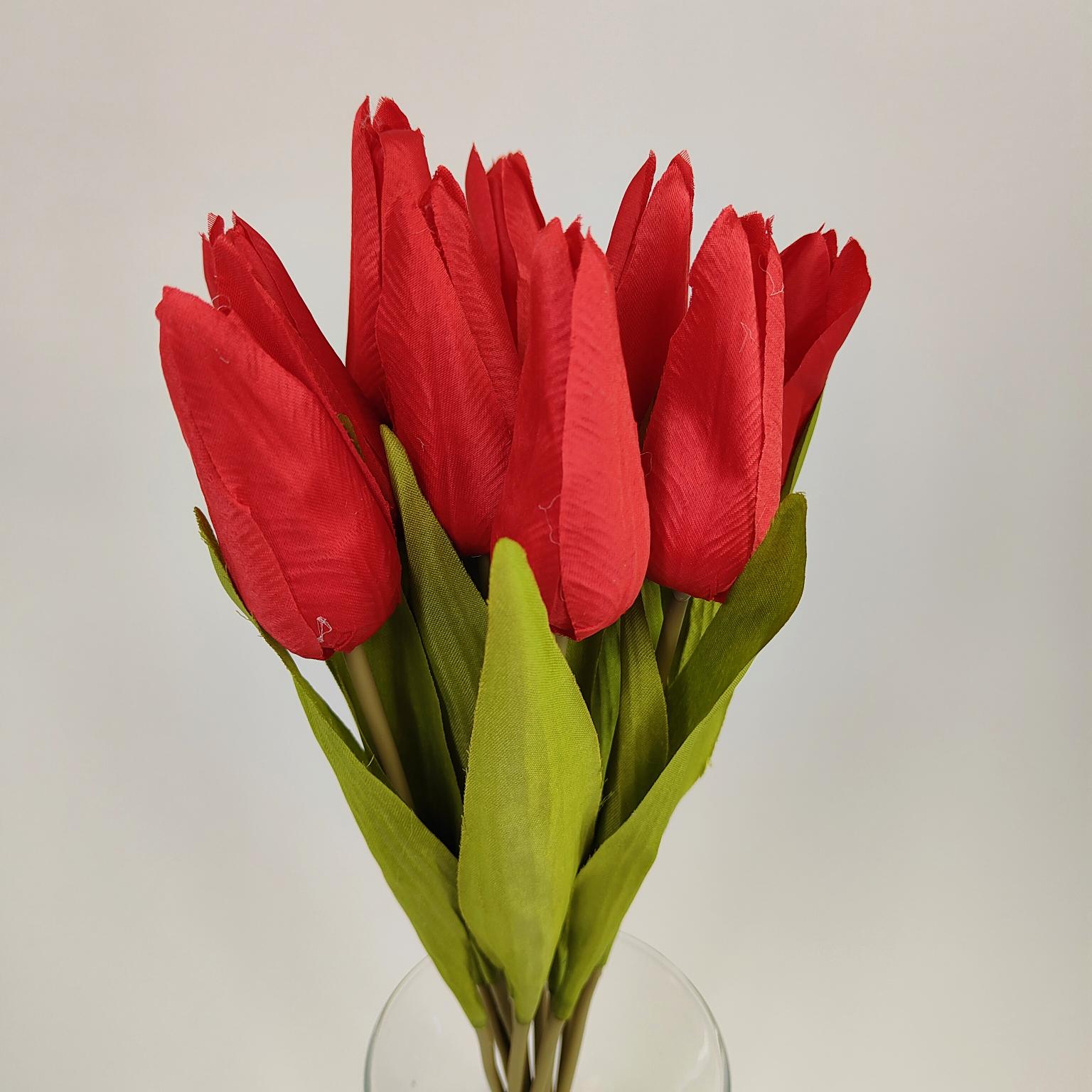 Tulipan pojedynczy M702 czerwony 12 szt