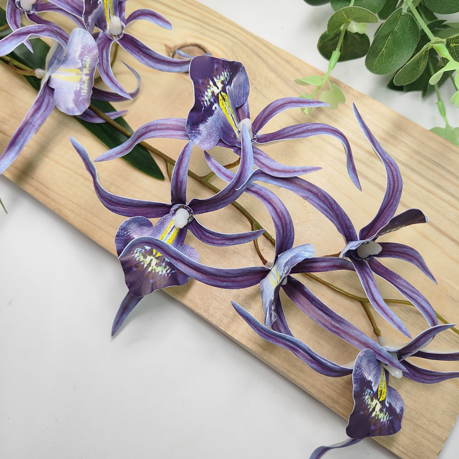 Storczyk pojednczy gumowany fioletowy