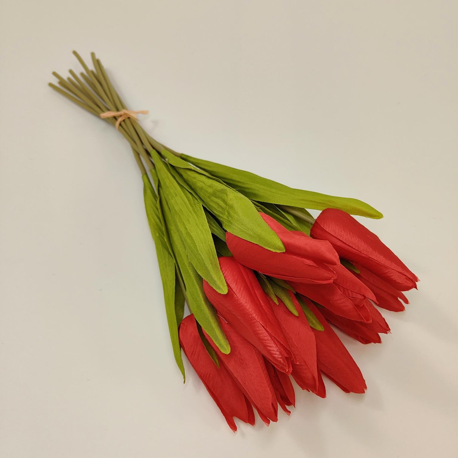 Tulipan pojedynczy M702 czerwony 12 szt