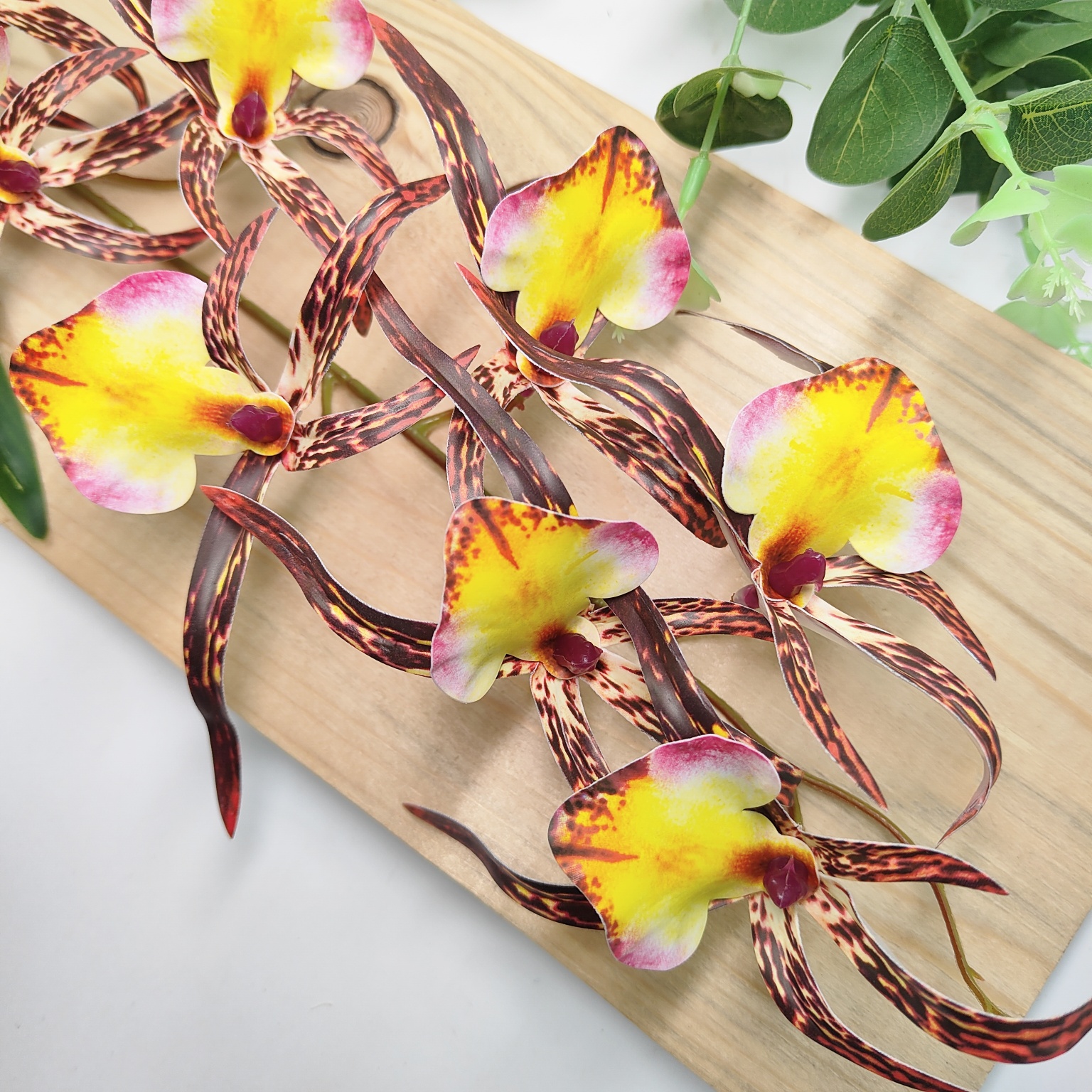 Storczyk pojedynczy gumowany żółto brązowy