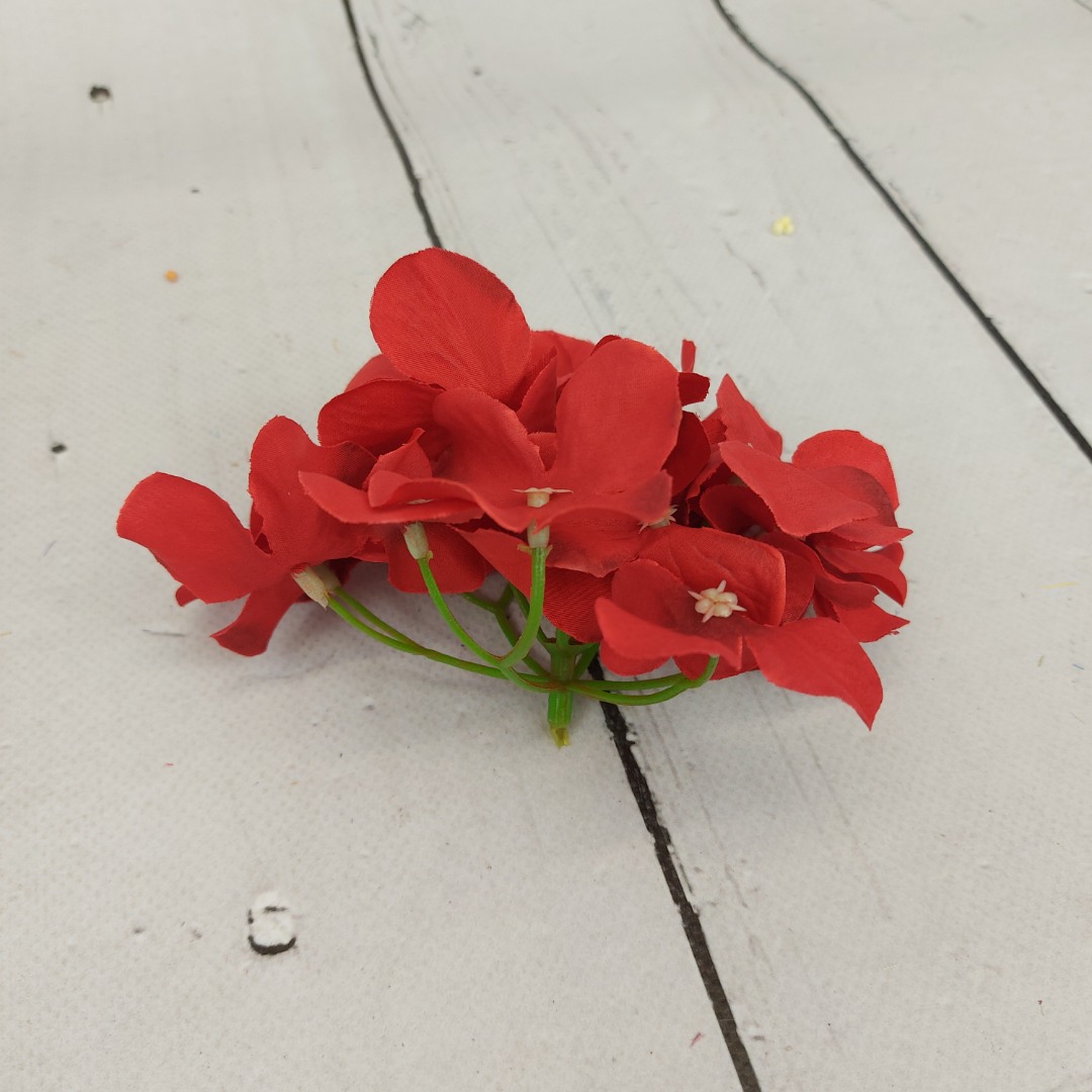 Hortensja wyrobowa red 12szt