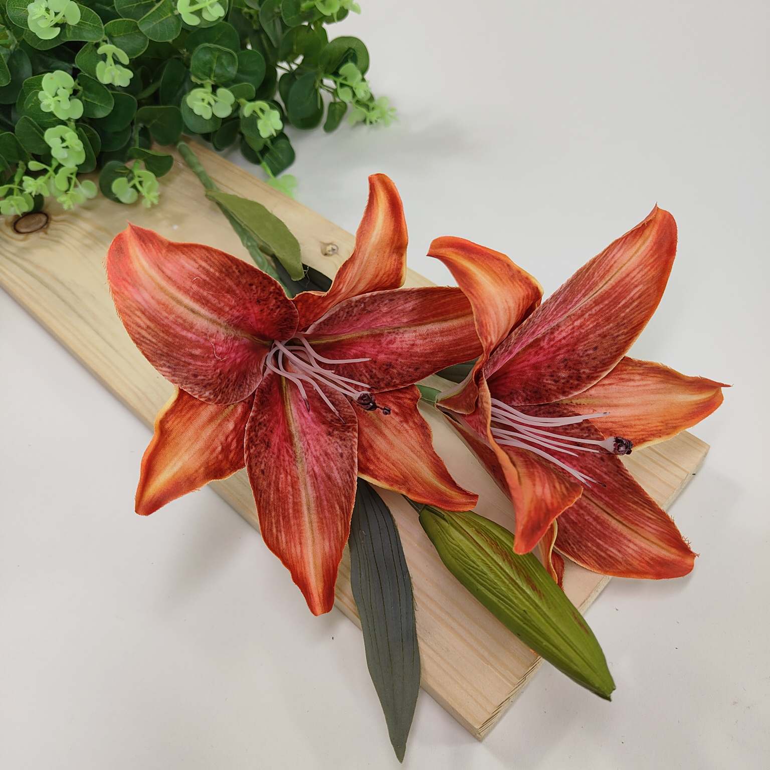 Lilia pojedyncza x2 ruda