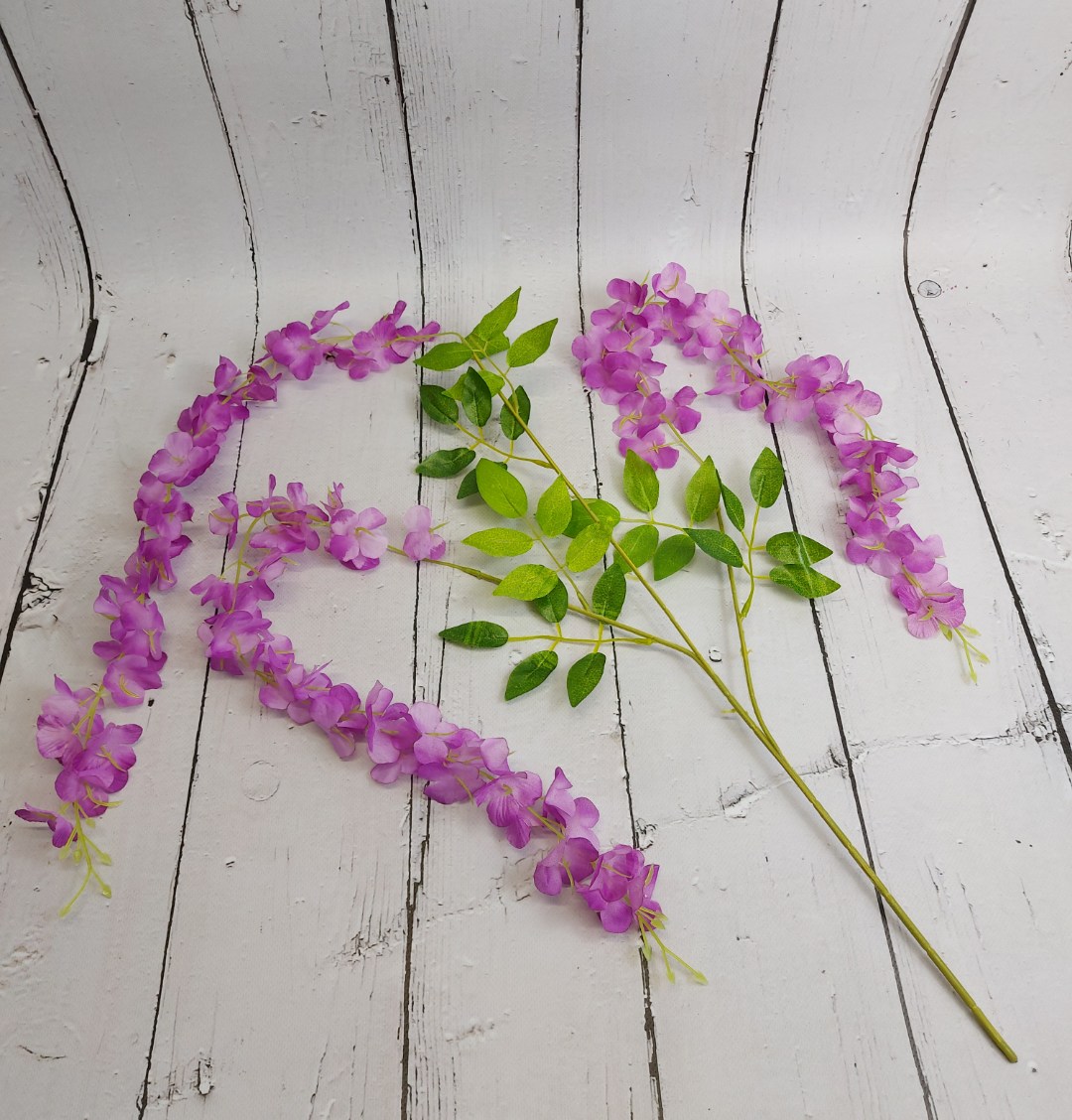 Wisteria jasny fiolet