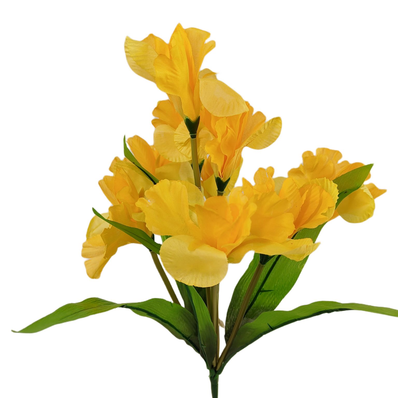 Bukiet irys x9 żółty