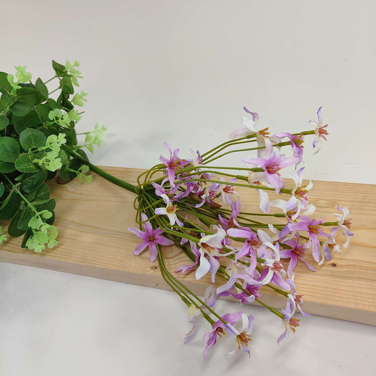 Agapantus pojedynczy kremowo fioletowy