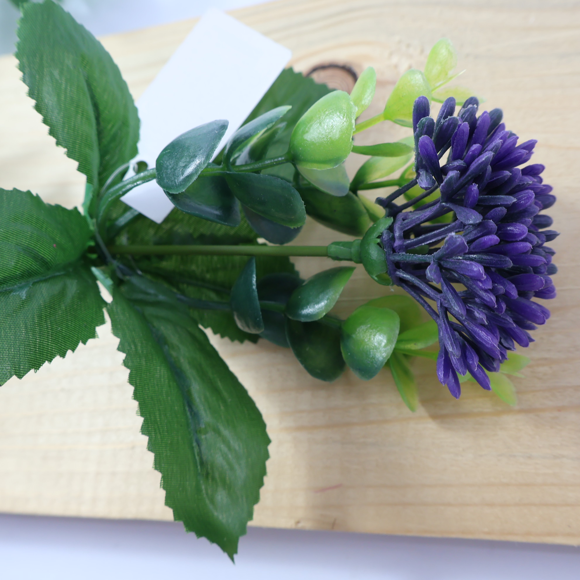 Dodatek czosnek fioletowy