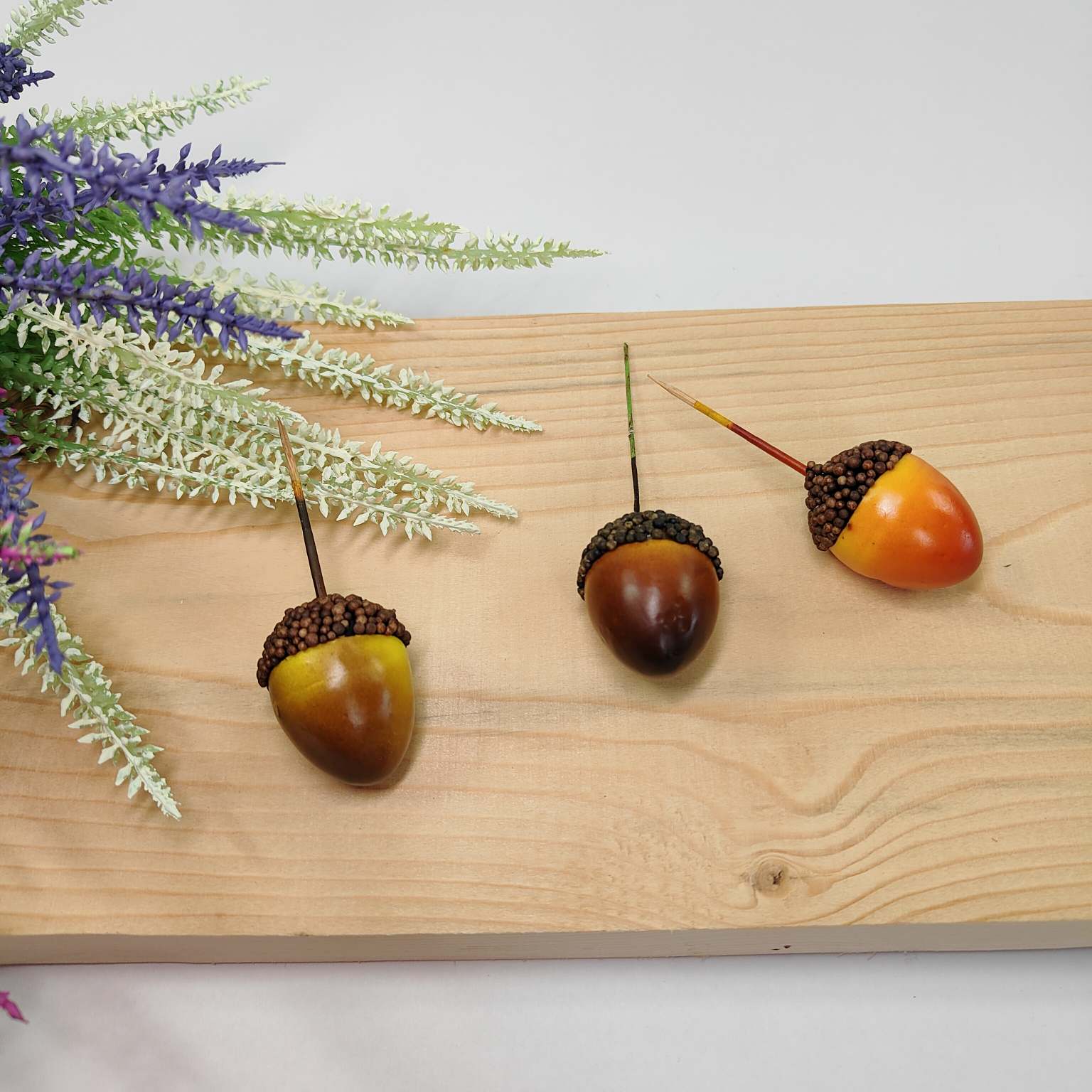 Żołędzie opakowanie 24 szt