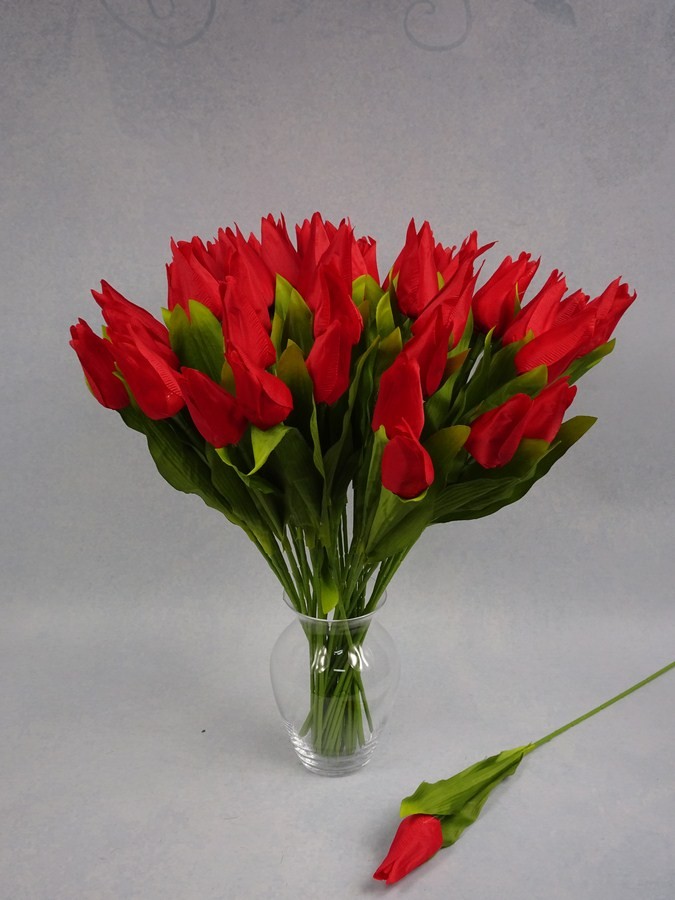 Tulipan pojedynczy czerwony