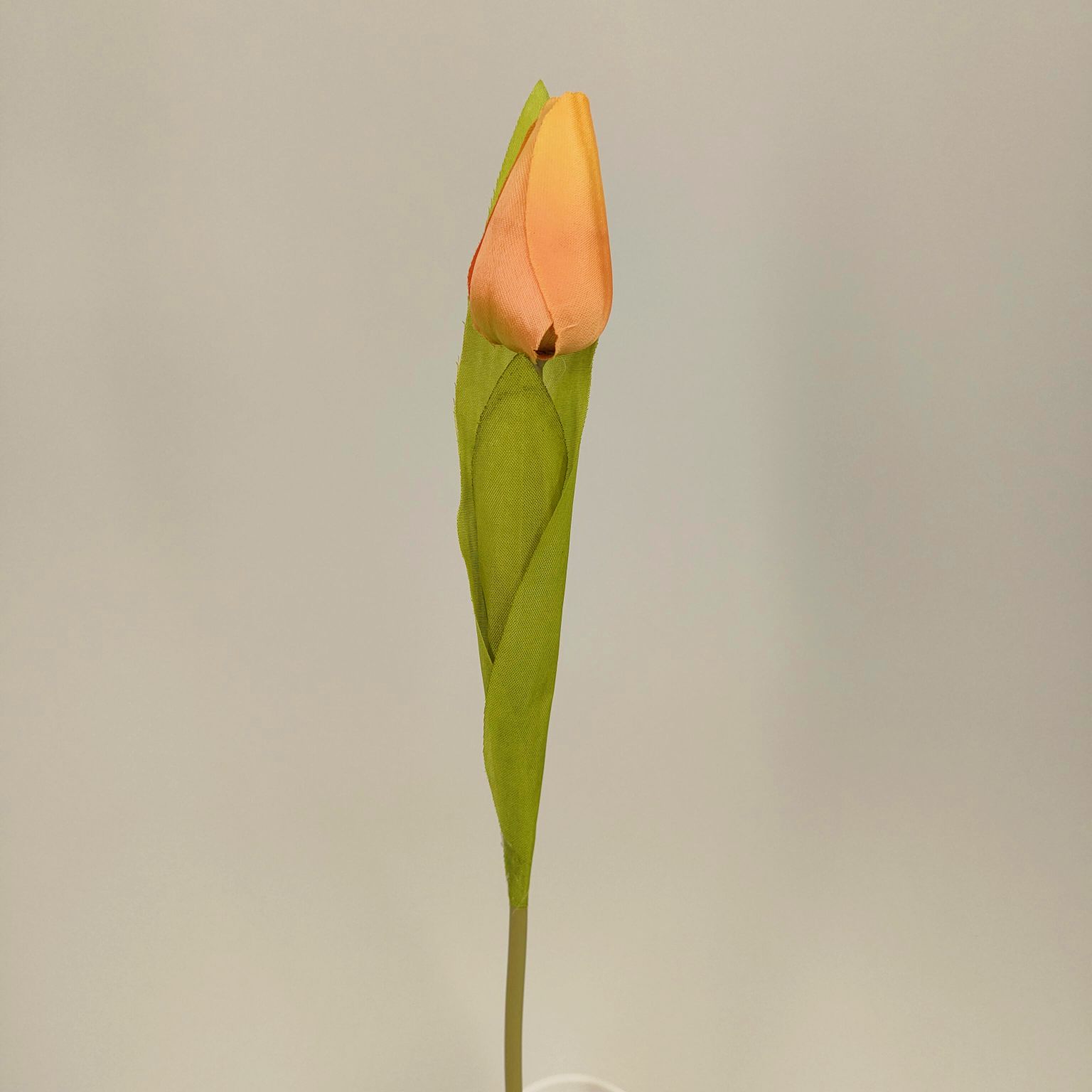 Tulipan pojedynczy M561-2 jasny pomarańcz