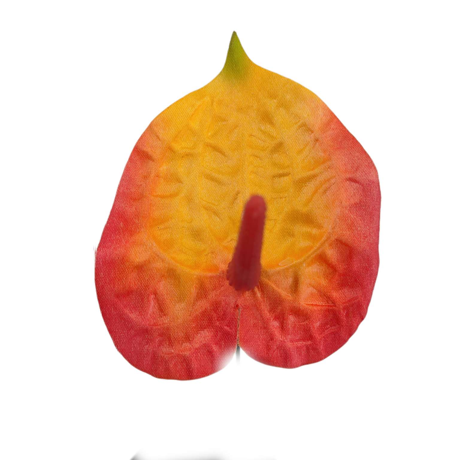 Anturium wyrobowe żółto pomarańczowe 24 szt