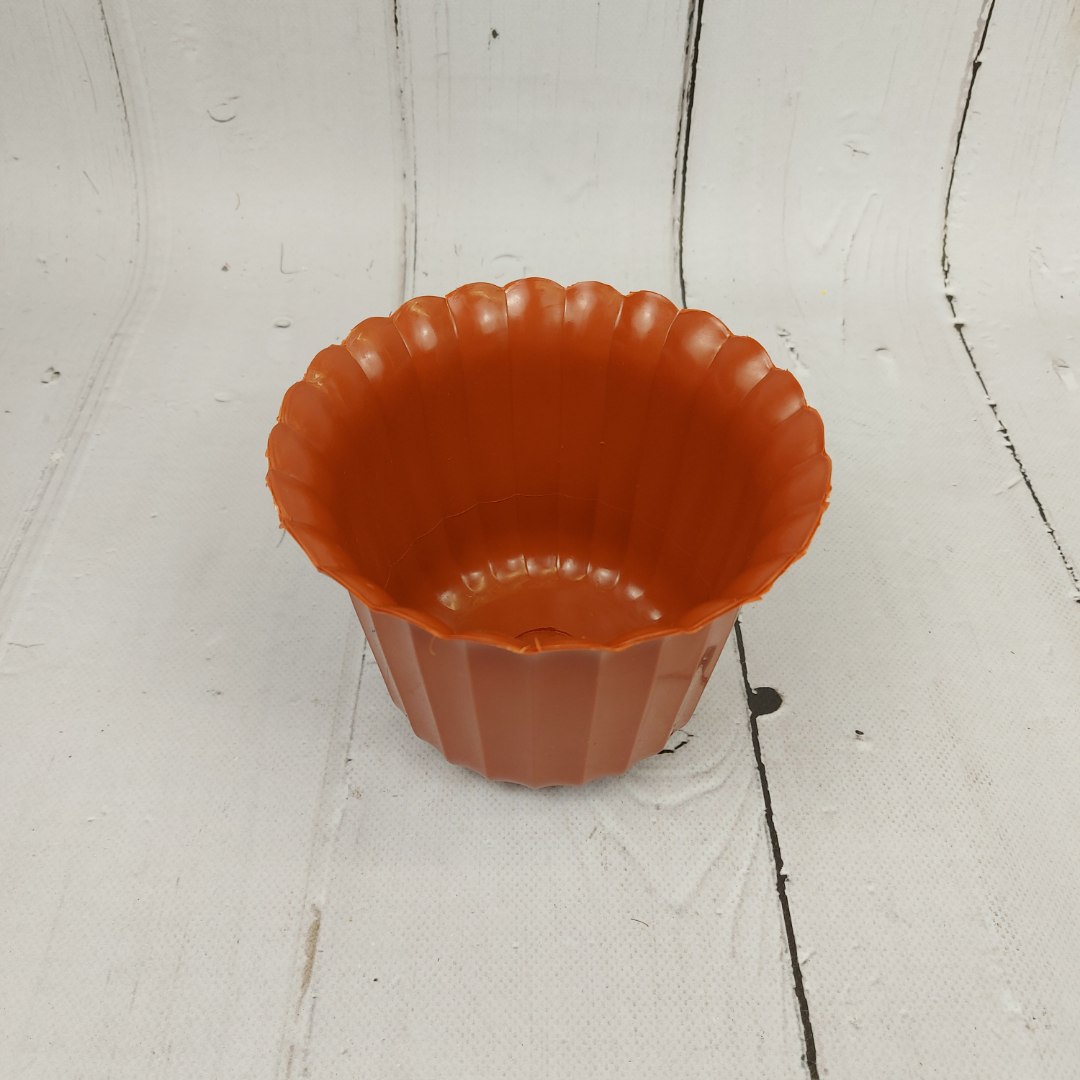 Osłonka stojąca '13