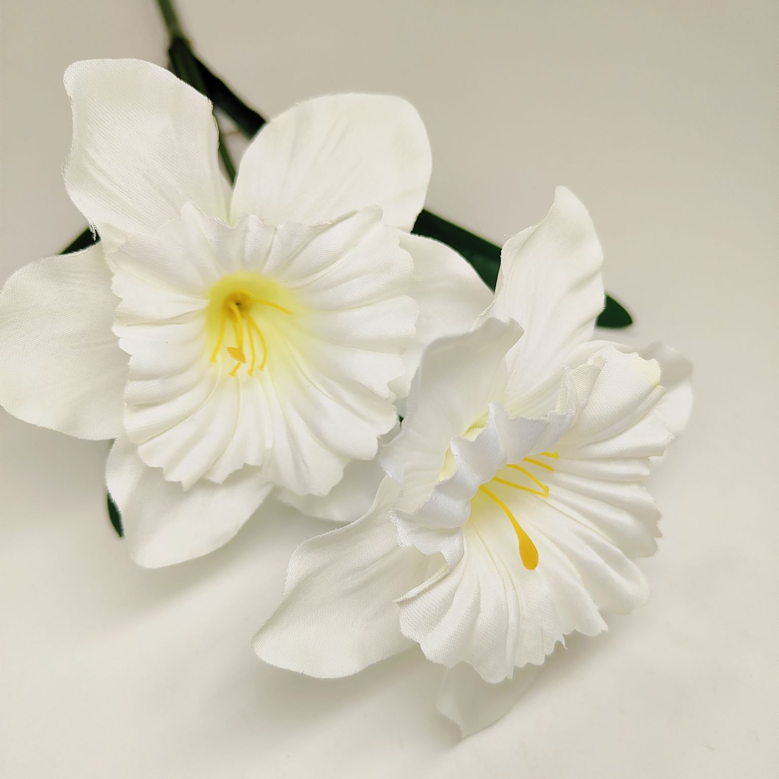 Żonkil kremowy pojedynczy x2 łodyga gumowana