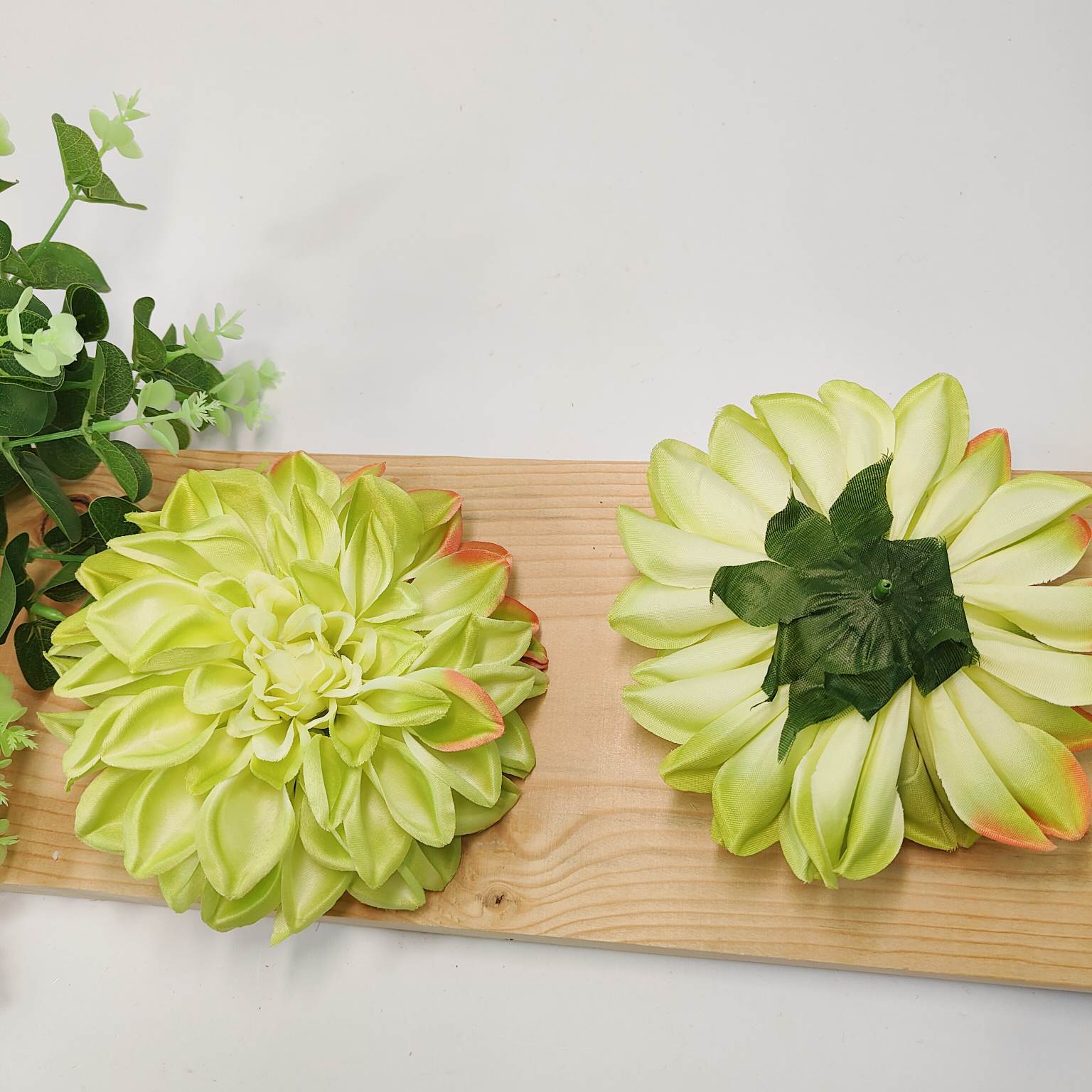 Dalia wyrobowa green/pink