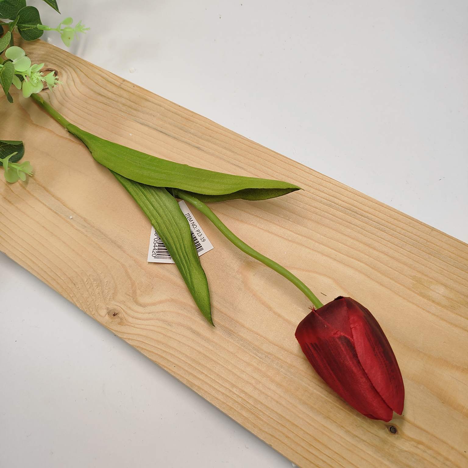 Tulipan pojedynczy czerwony