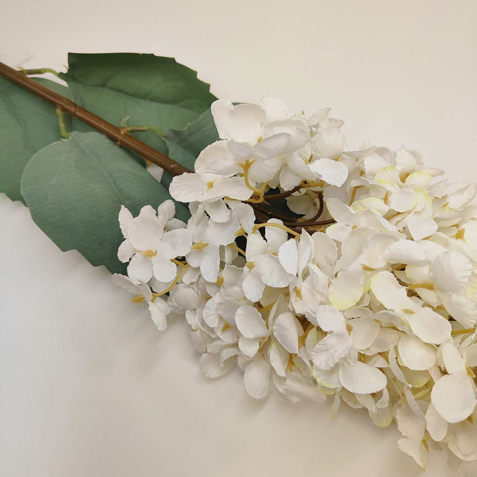 Ostrózka pojedyncza kremowa