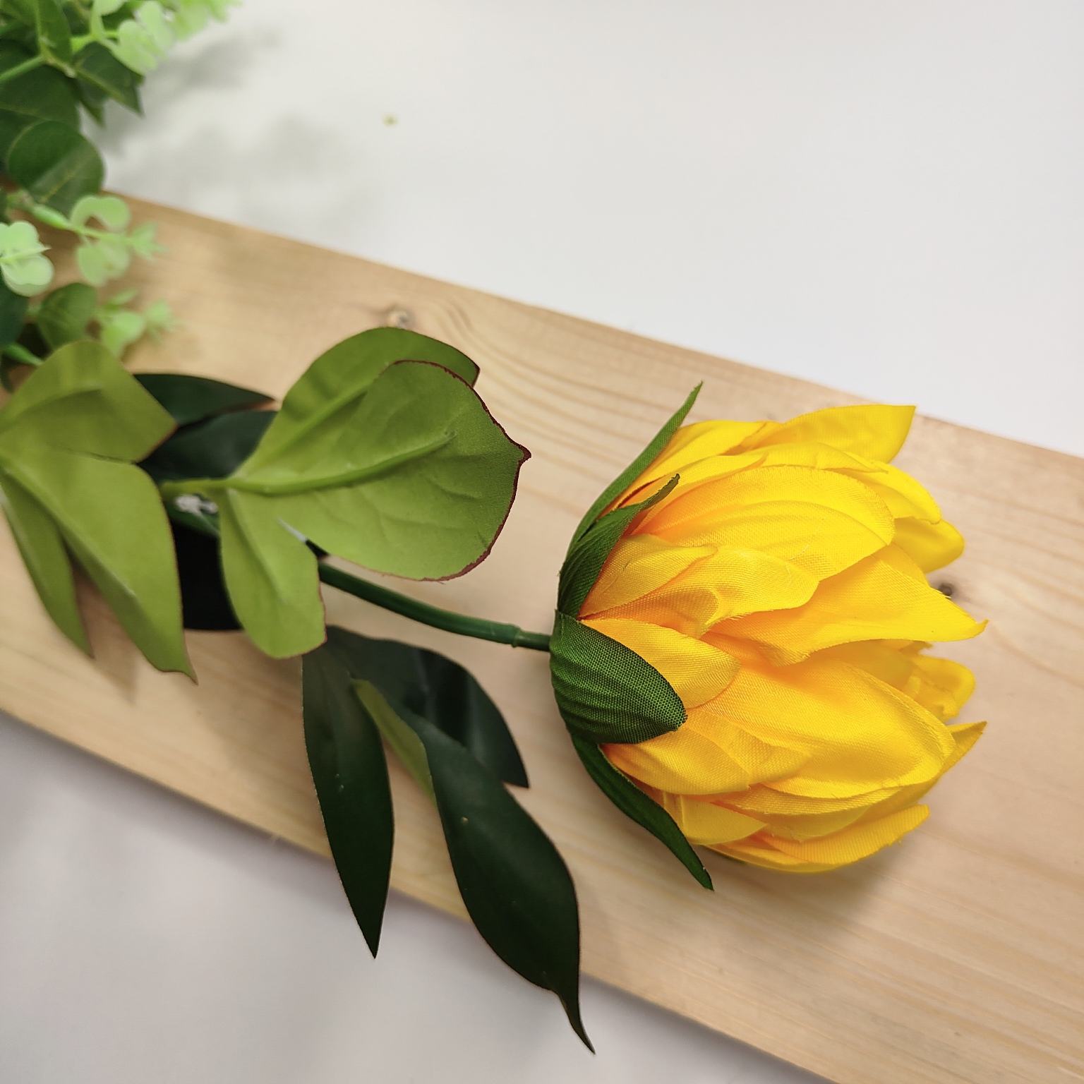 Protea pojedyncza żółta