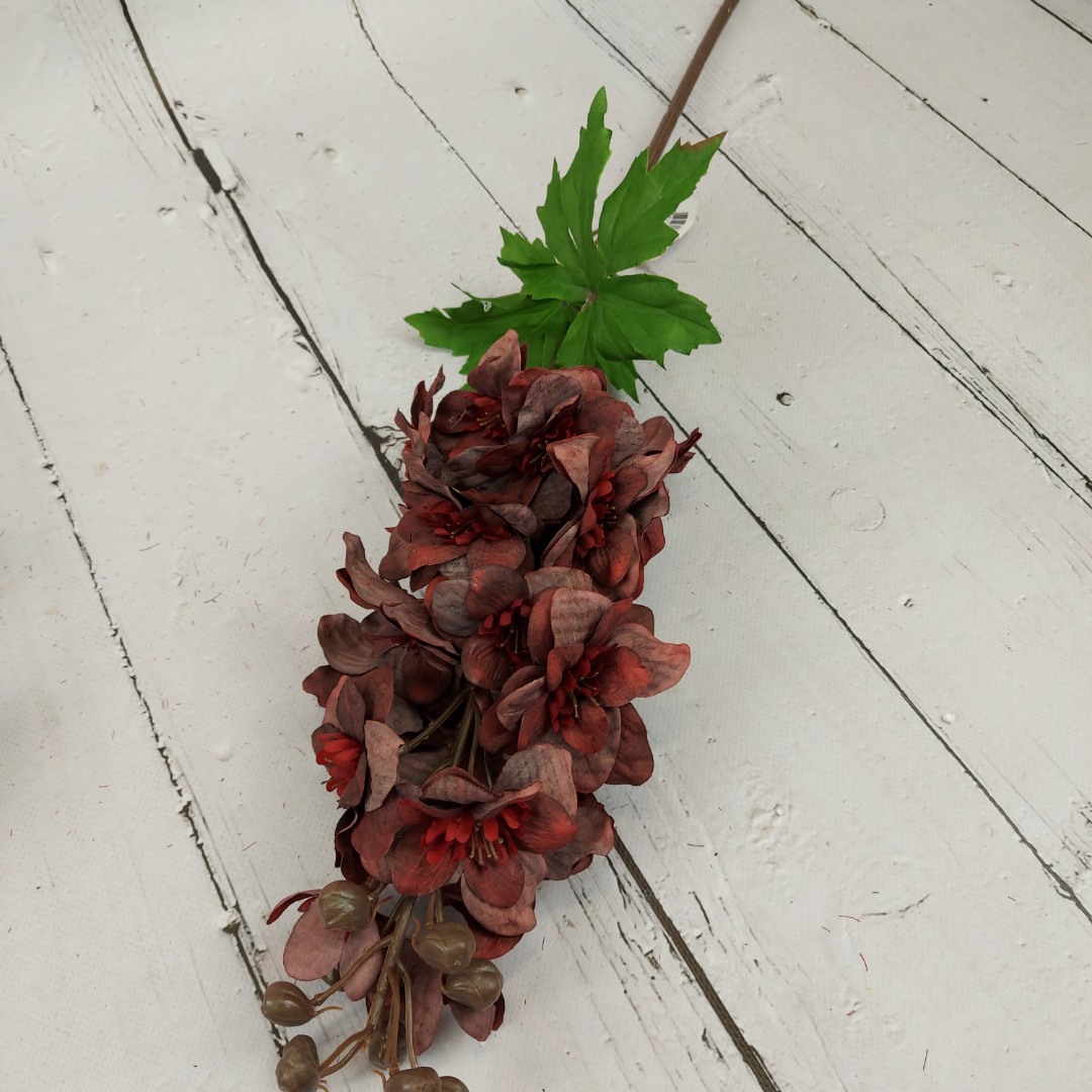 Ostróżka pojedyncza burgund