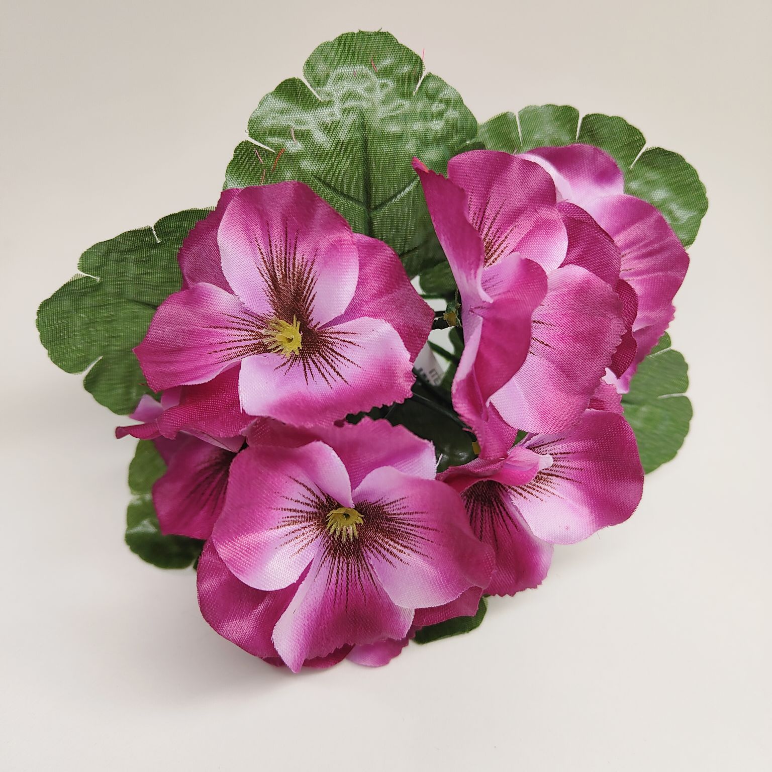 Bukiecik bratek biskupi