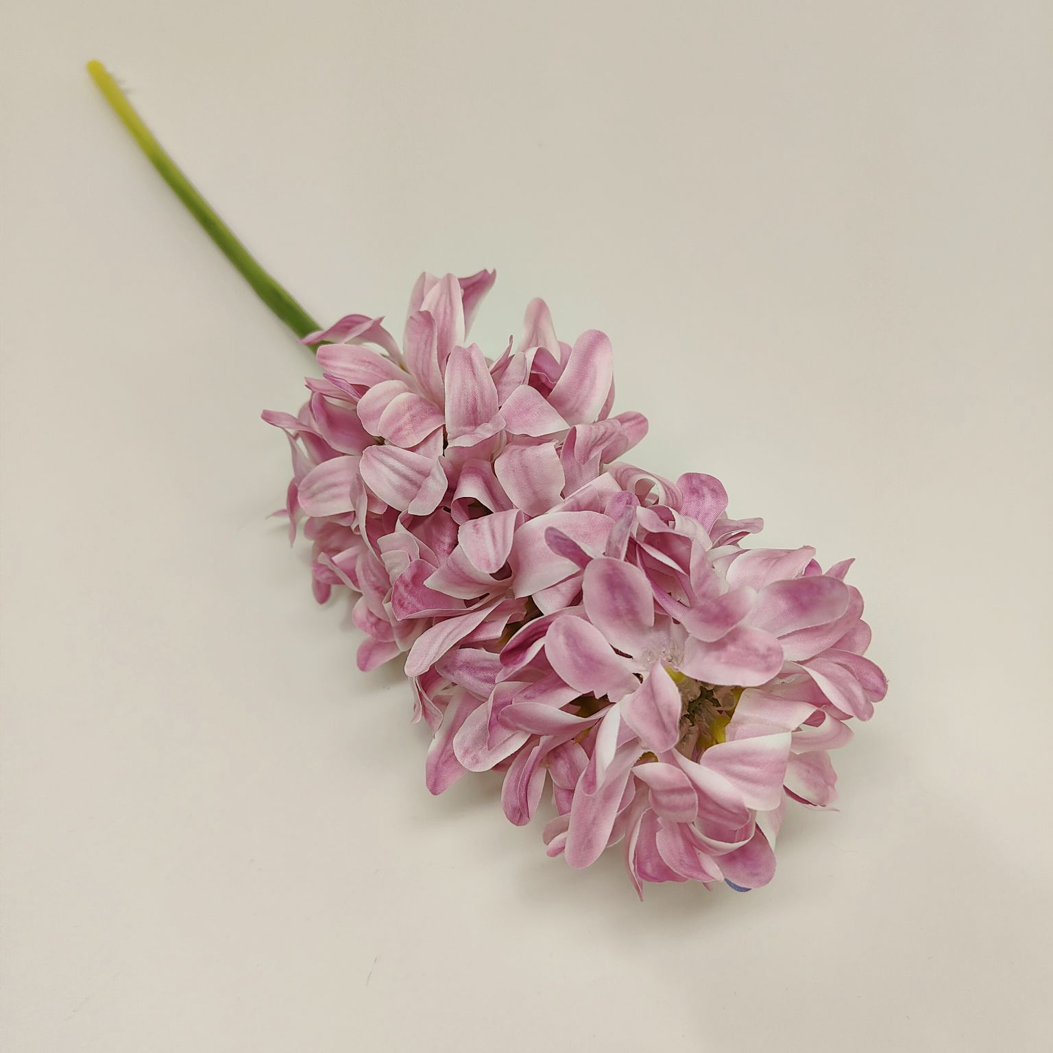 Hiacynt pojedynczy różowy