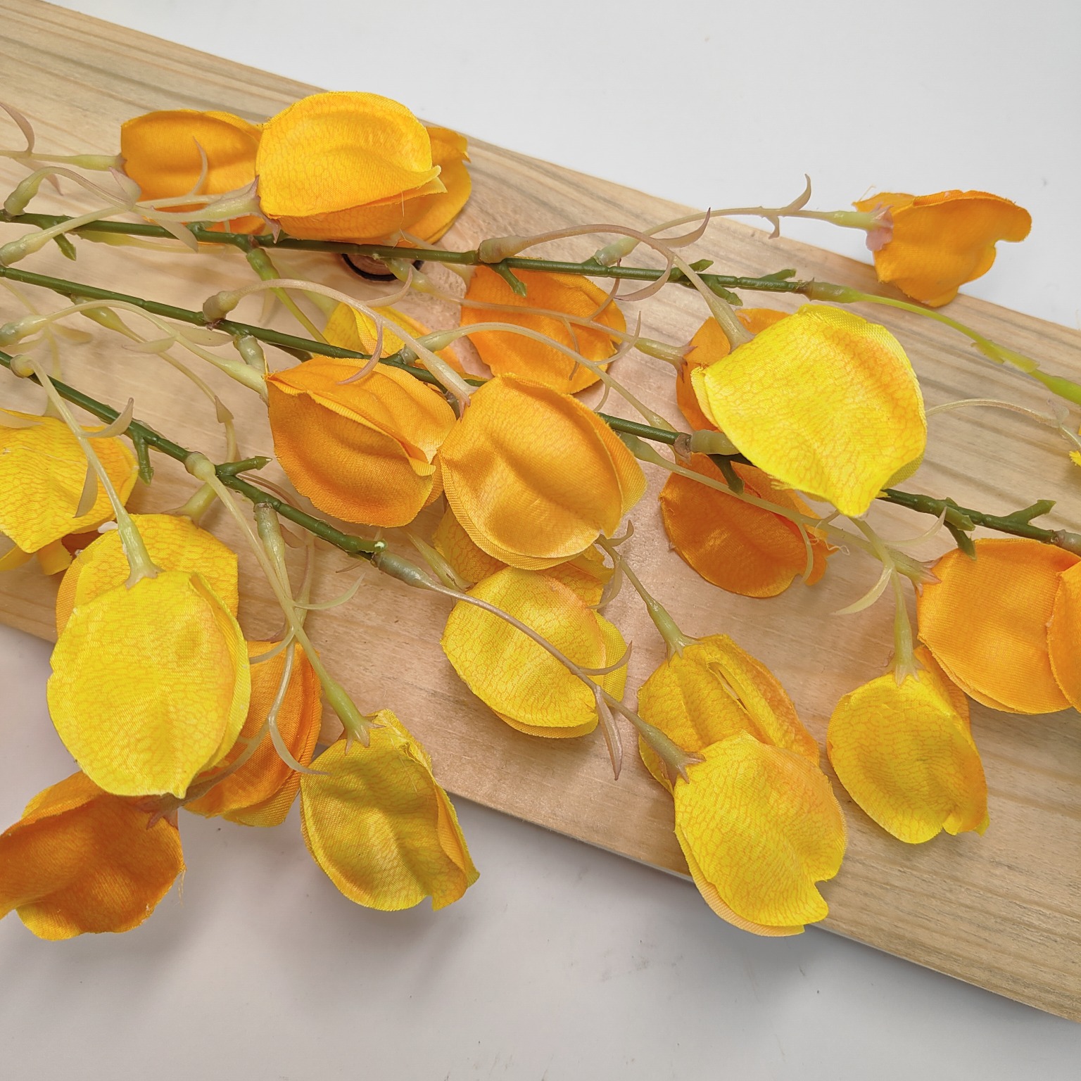 Miechunka pojedyncza żółta