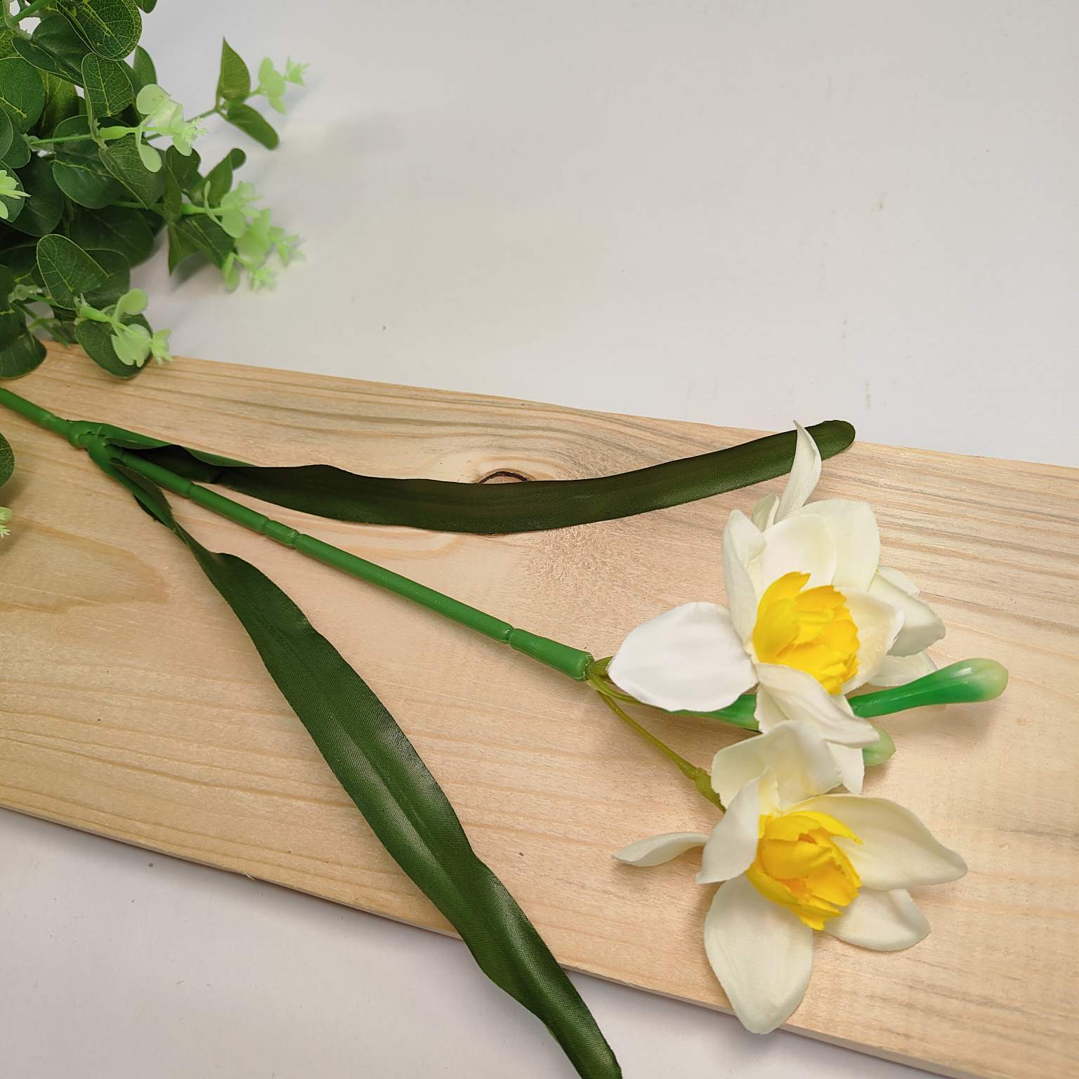 Narcyz pojedynczy kremowo żółty