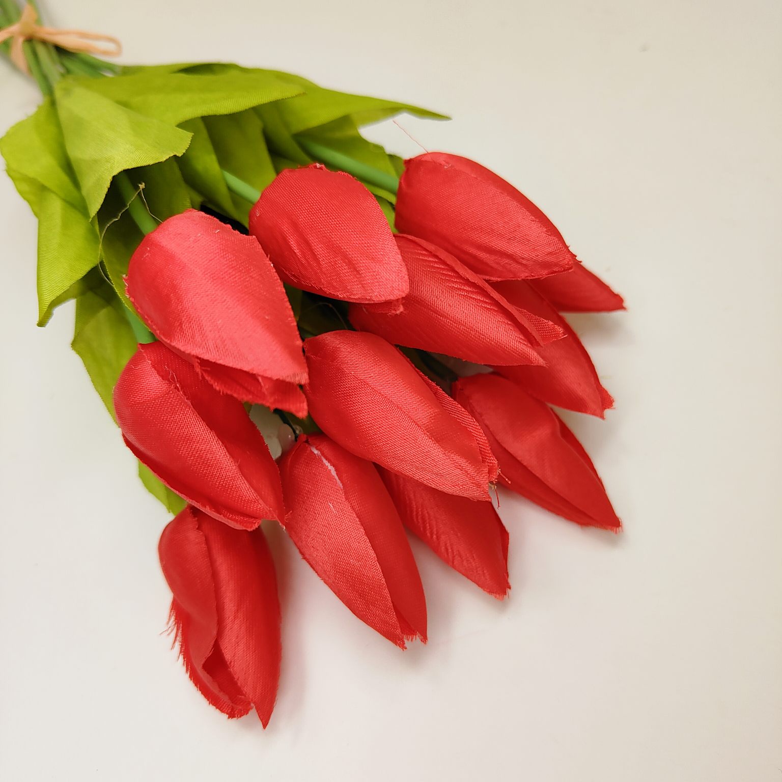 Tulipan pojedynczy M701 czerwony 12 szt