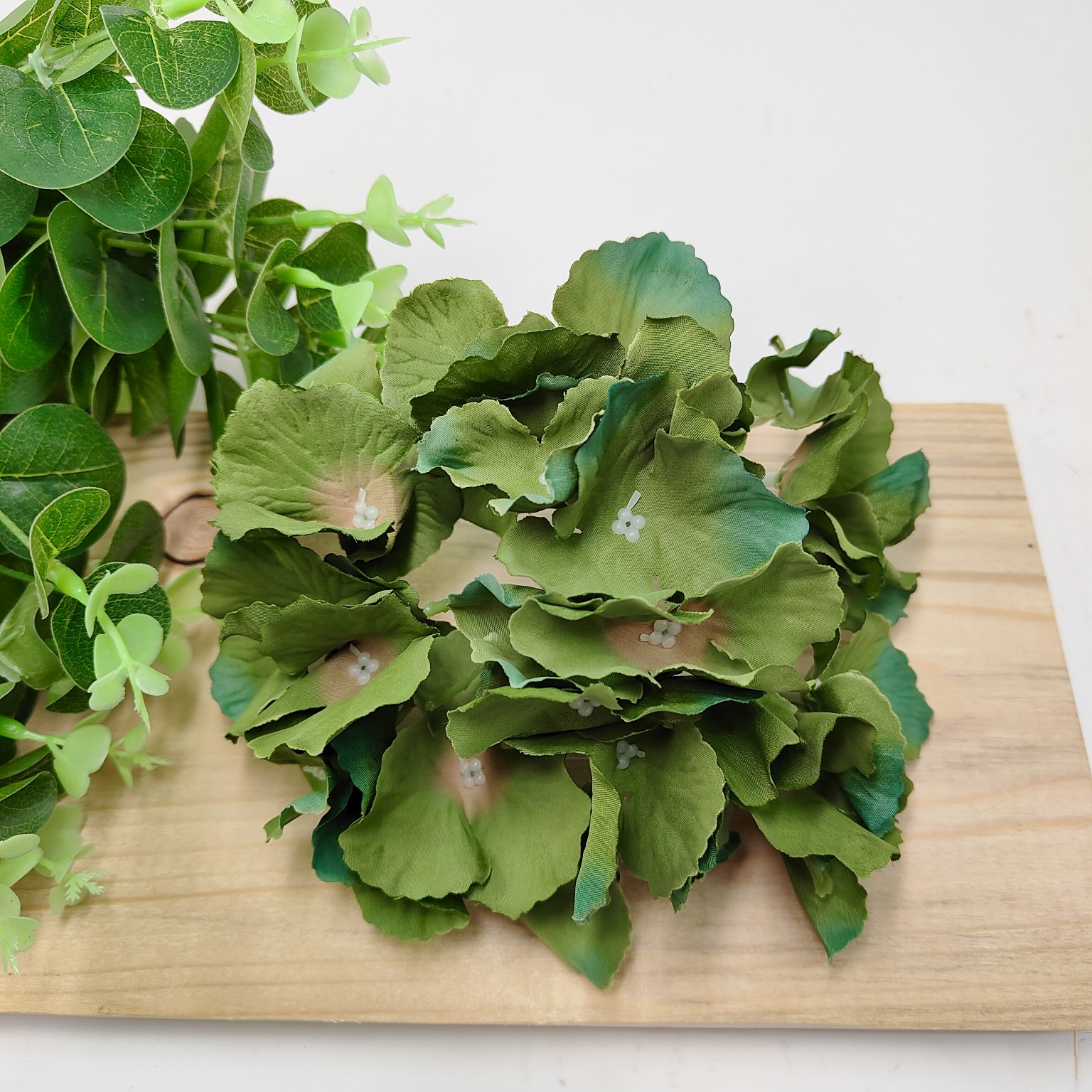 Hortensja wyrobowa seaweed