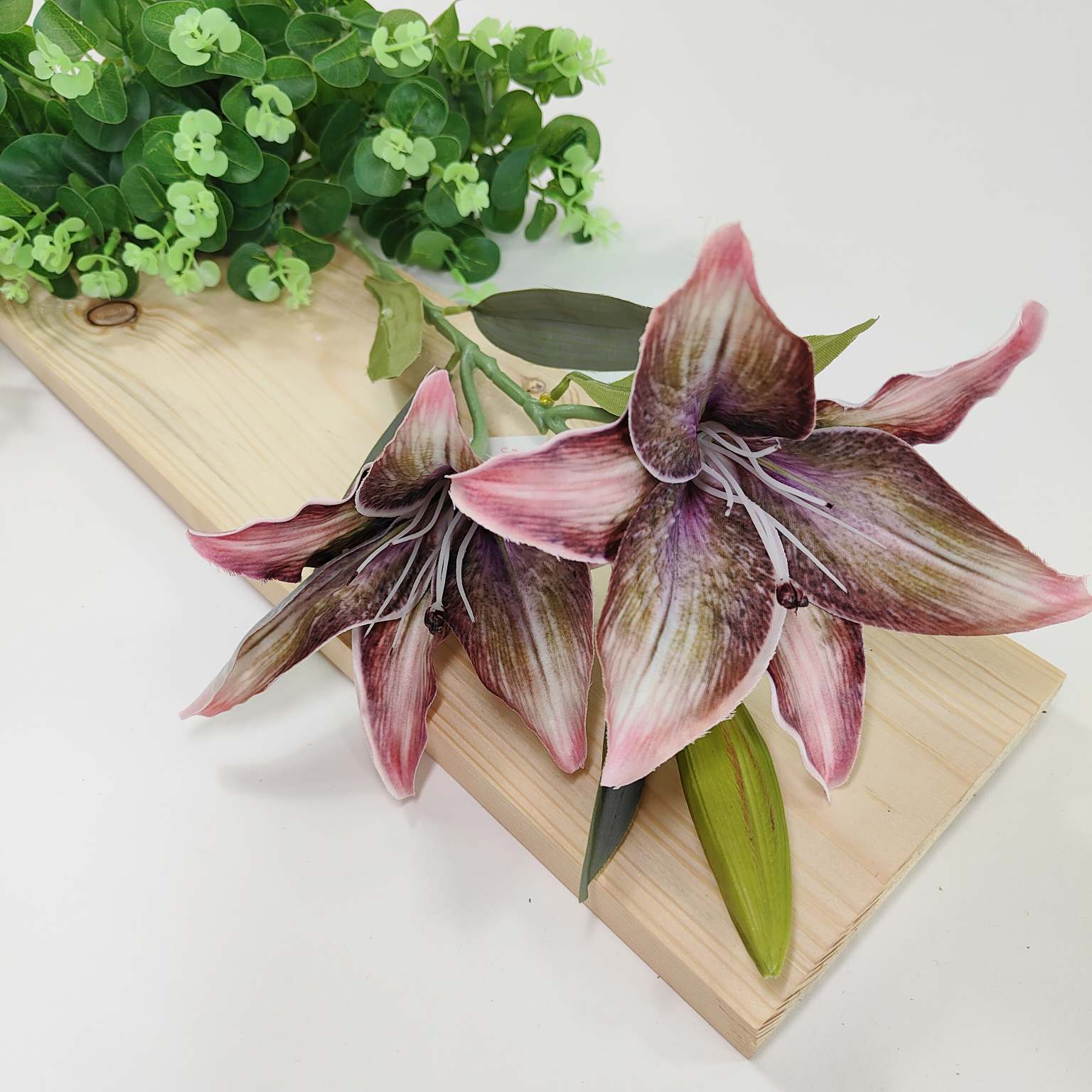 Lilia pojedyncza x2 różowo zielona