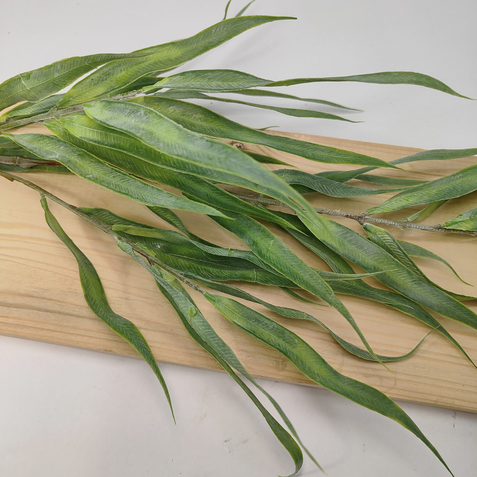 Gałąź orchid grass 88 cm