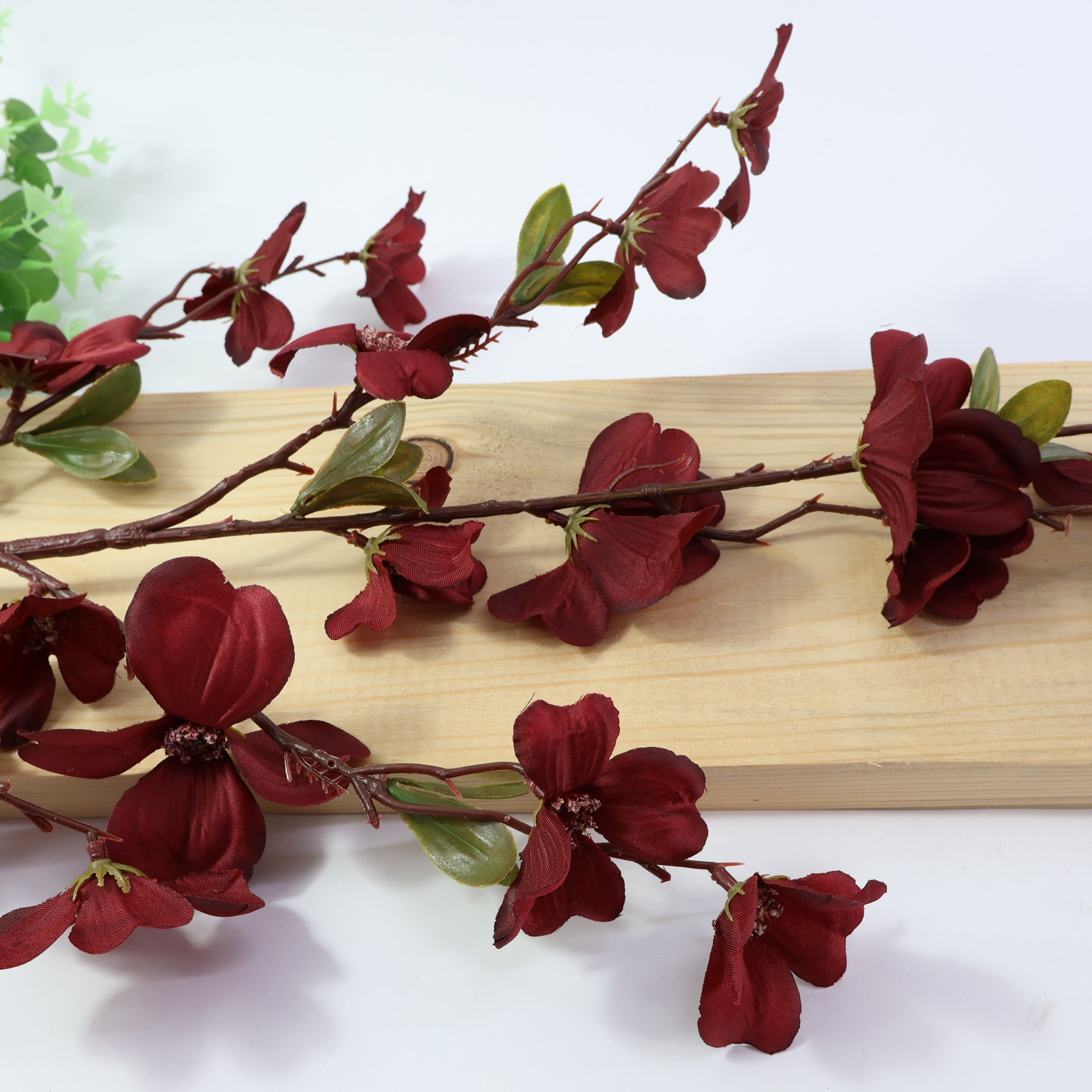 Gałązka dereń bordowa