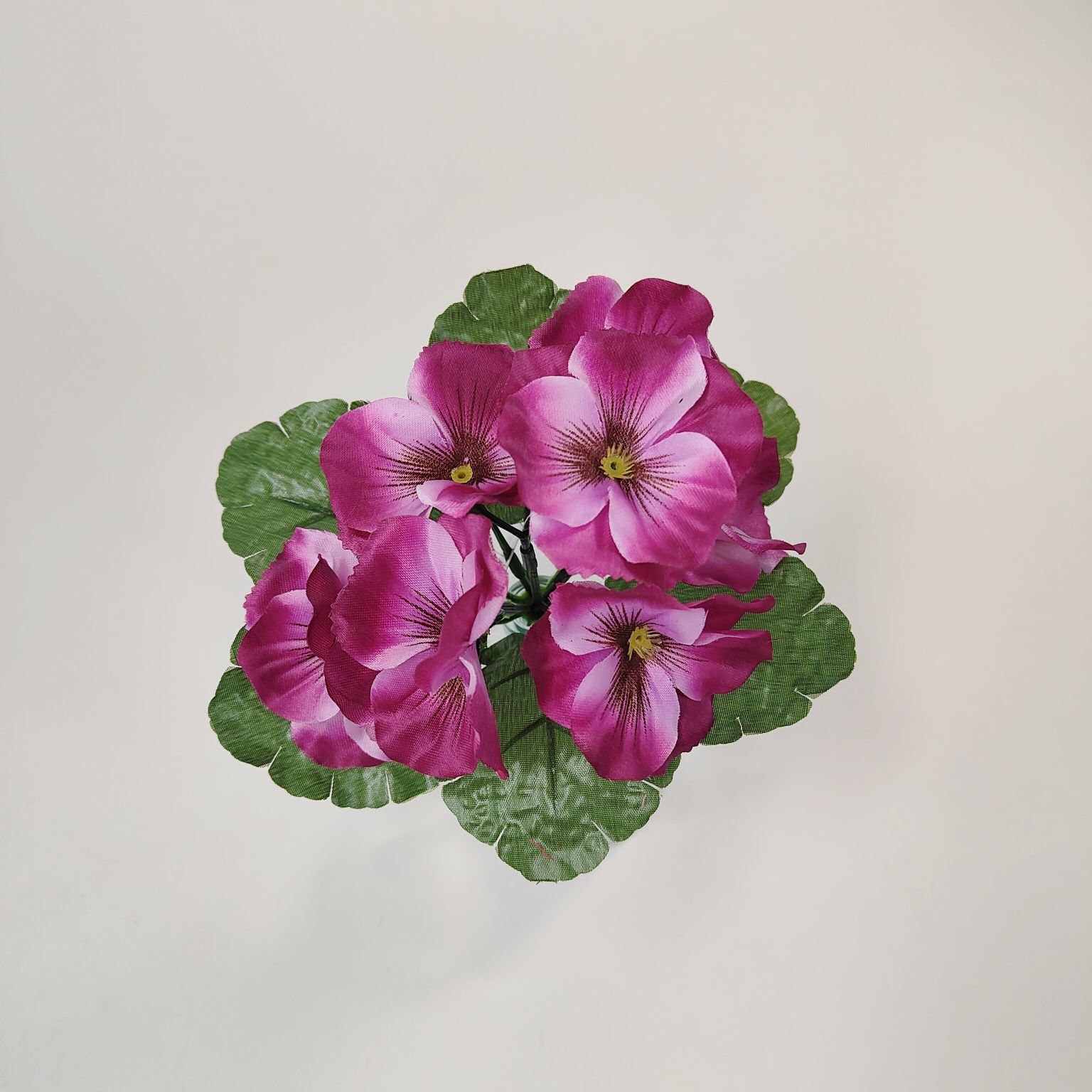 Bukiecik bratek biskupi