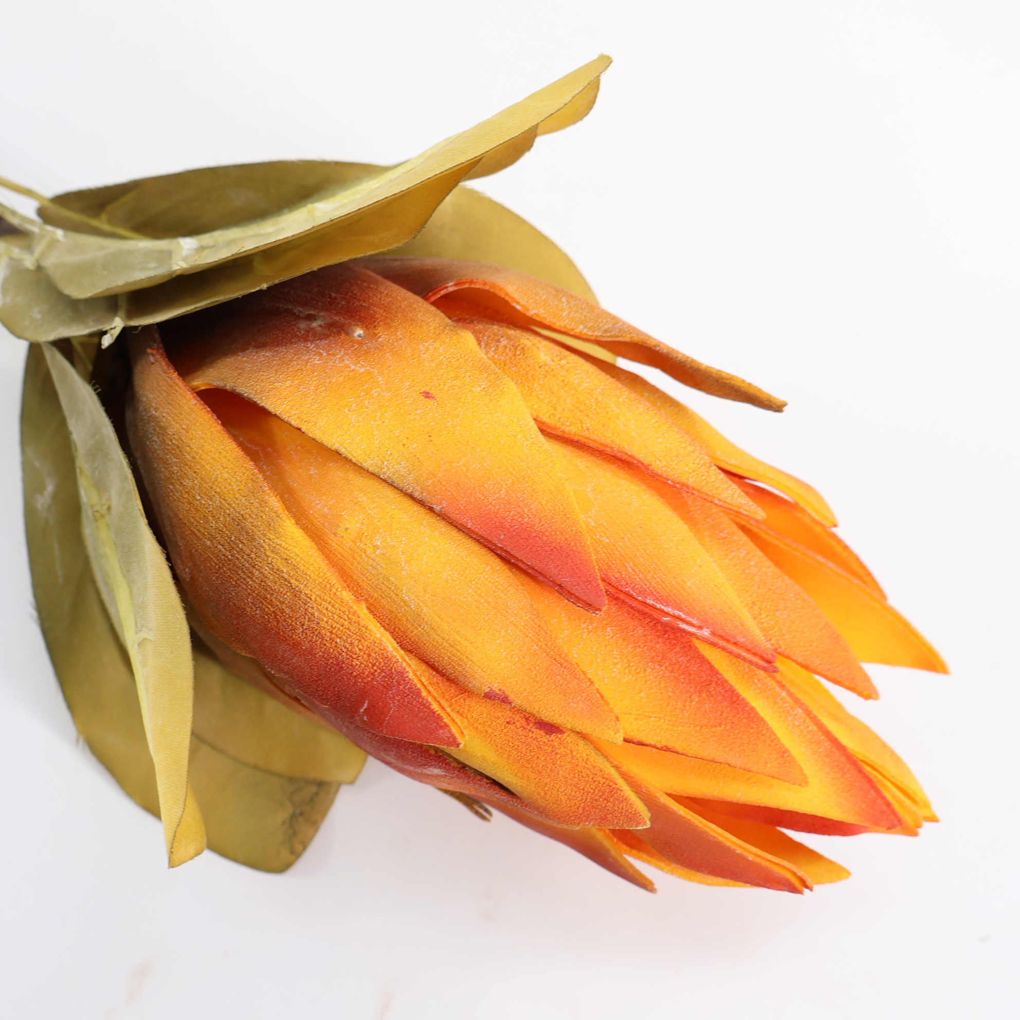 Pianka karczoch pomarańczowa