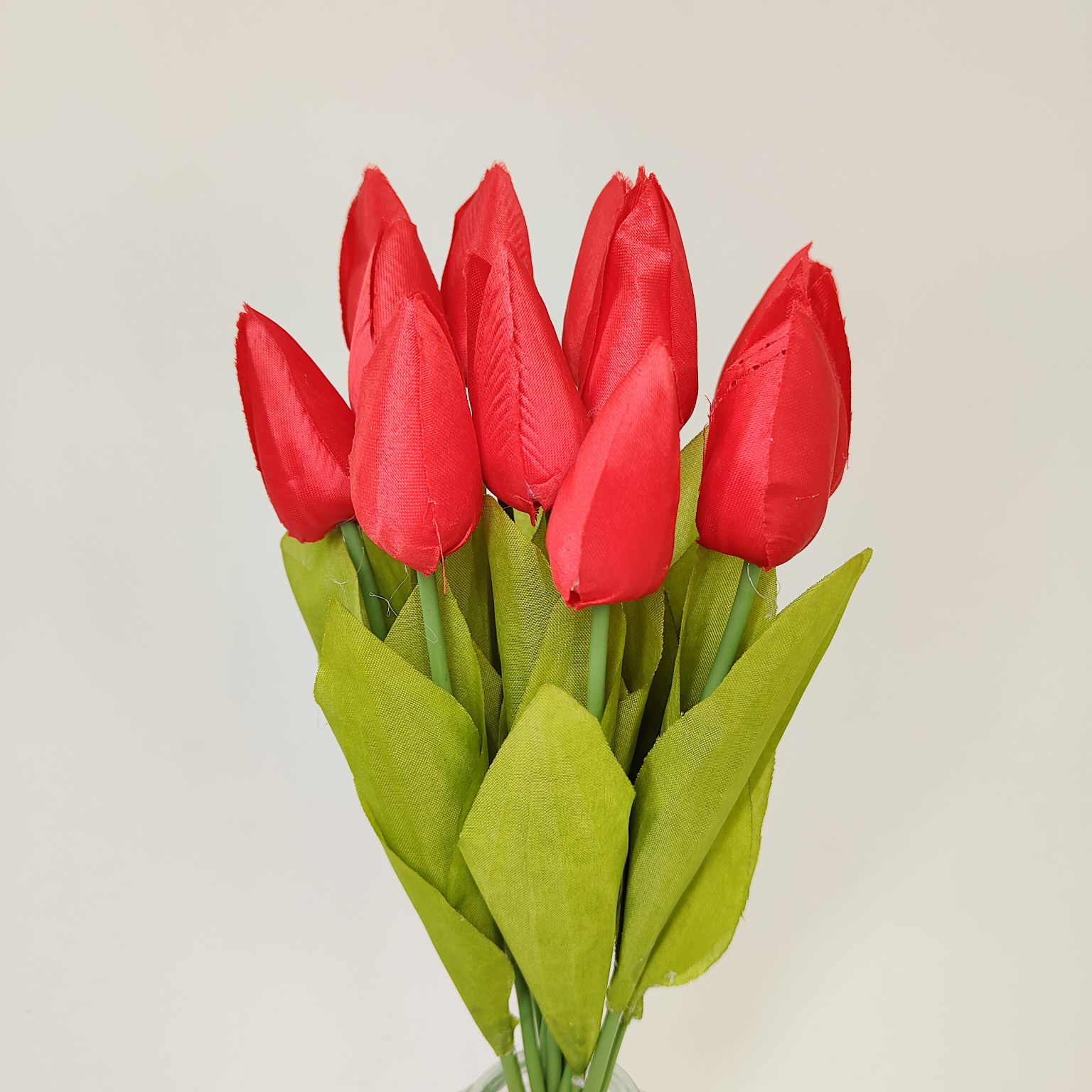 Tulipan pojedynczy M701 czerwony 12 szt