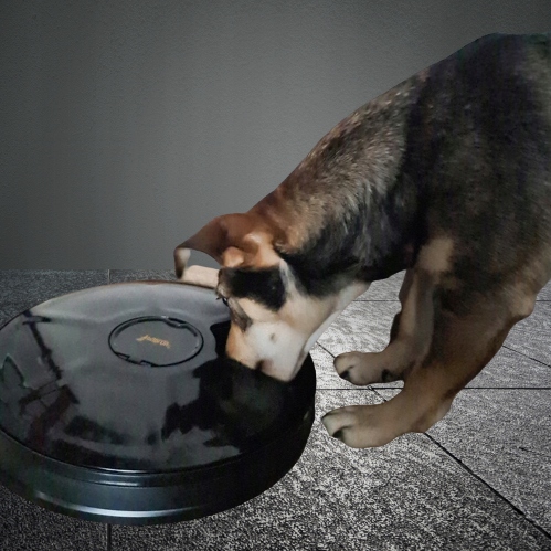 PODAJNIK DOZOWNIK KARMY AUTOMAT DLA PSA KOTA MISKA