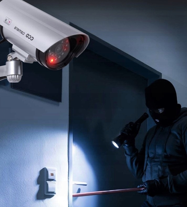 KAMERA ATRAPA IR LED KAMERY ZEWNĘTRZNA MONITORING