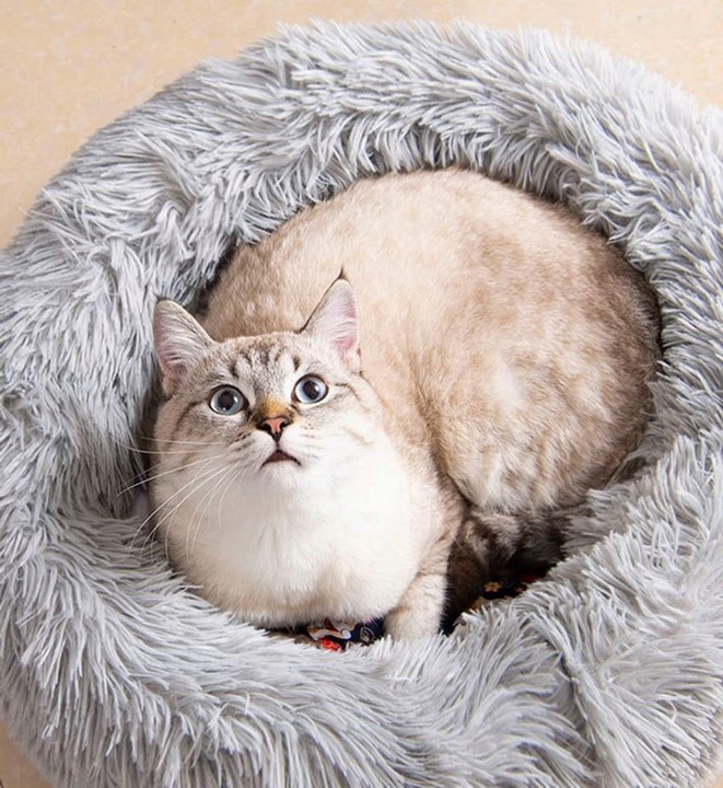 LEGOWISKO PODUSZKA DLA PSA KOTA MATA SOFA POSŁANIE