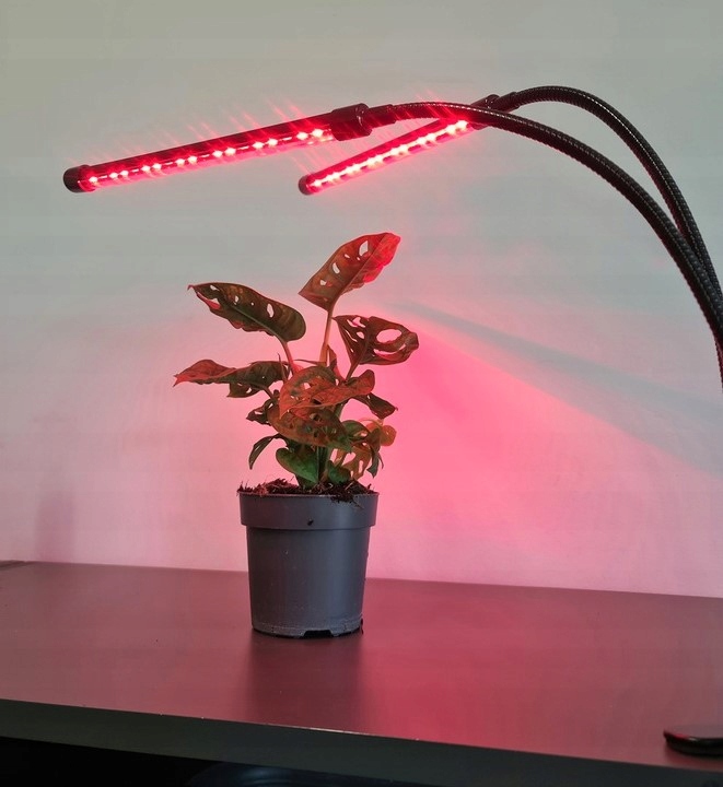 2 szt x LAMPA DO WZROSTU ROŚLIN 40 LED TIMER PILOT