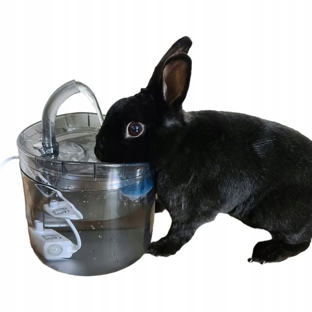 POIDEŁKO DOZOWNIK AUTOMAT FONTANNA DLA KOTA PSA